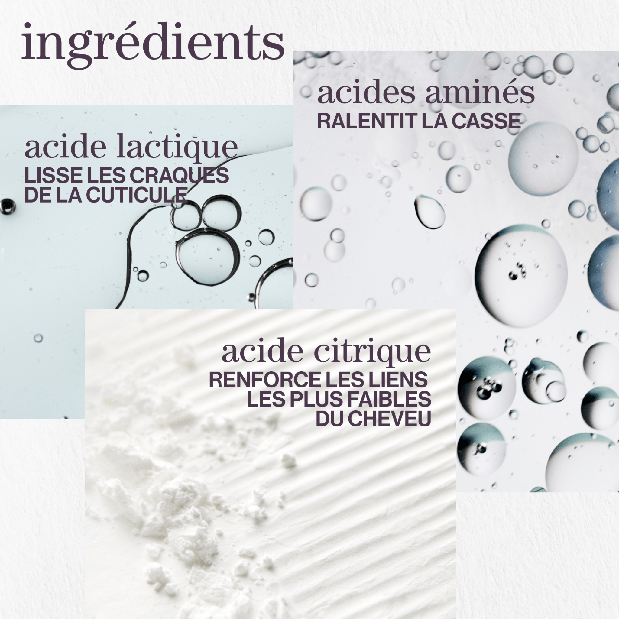 Pureology. Coffret Des Fêtes Découverte Strength Cure (Lancement 1er Septembre 2025) - Concept C. Shop