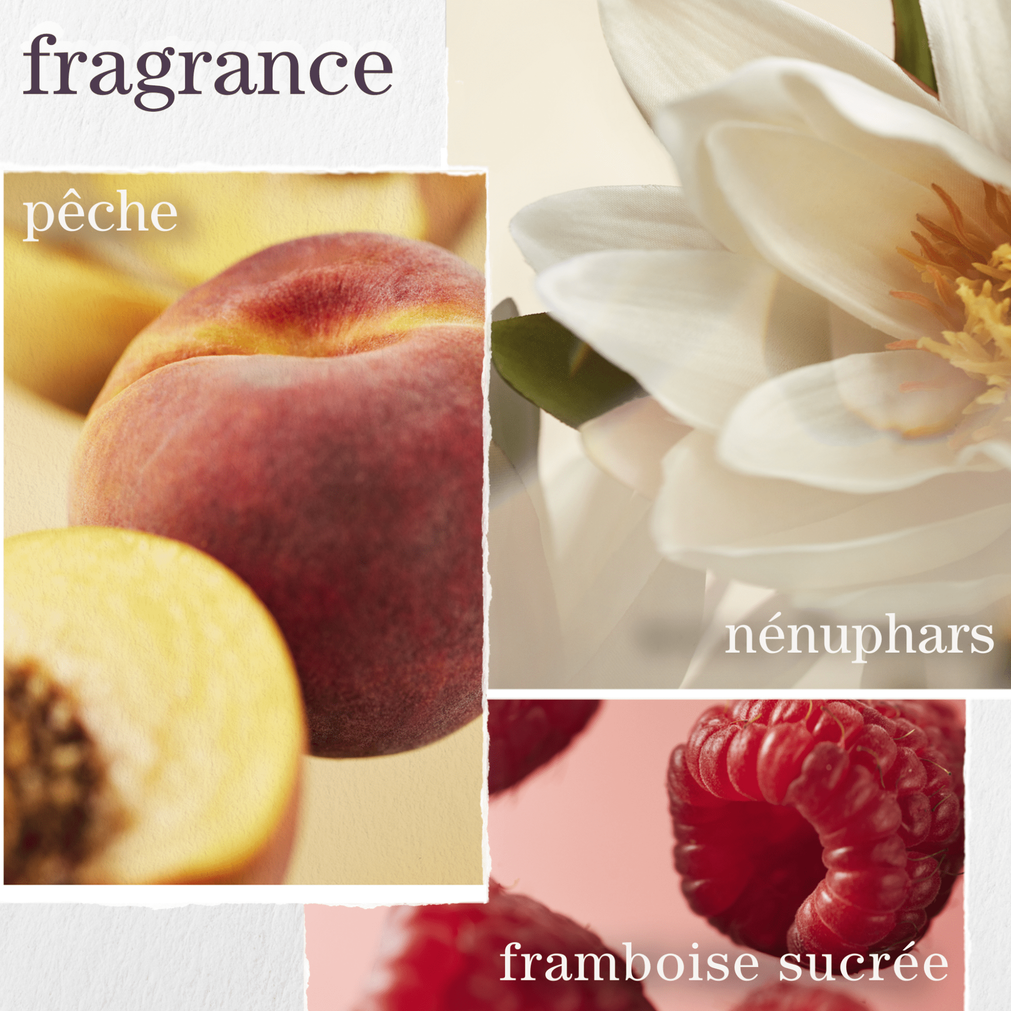 Pureology. Coffret Des Fêtes Découverte Strength Cure (Lancement 1er Septembre 2025) - Concept C. Shop