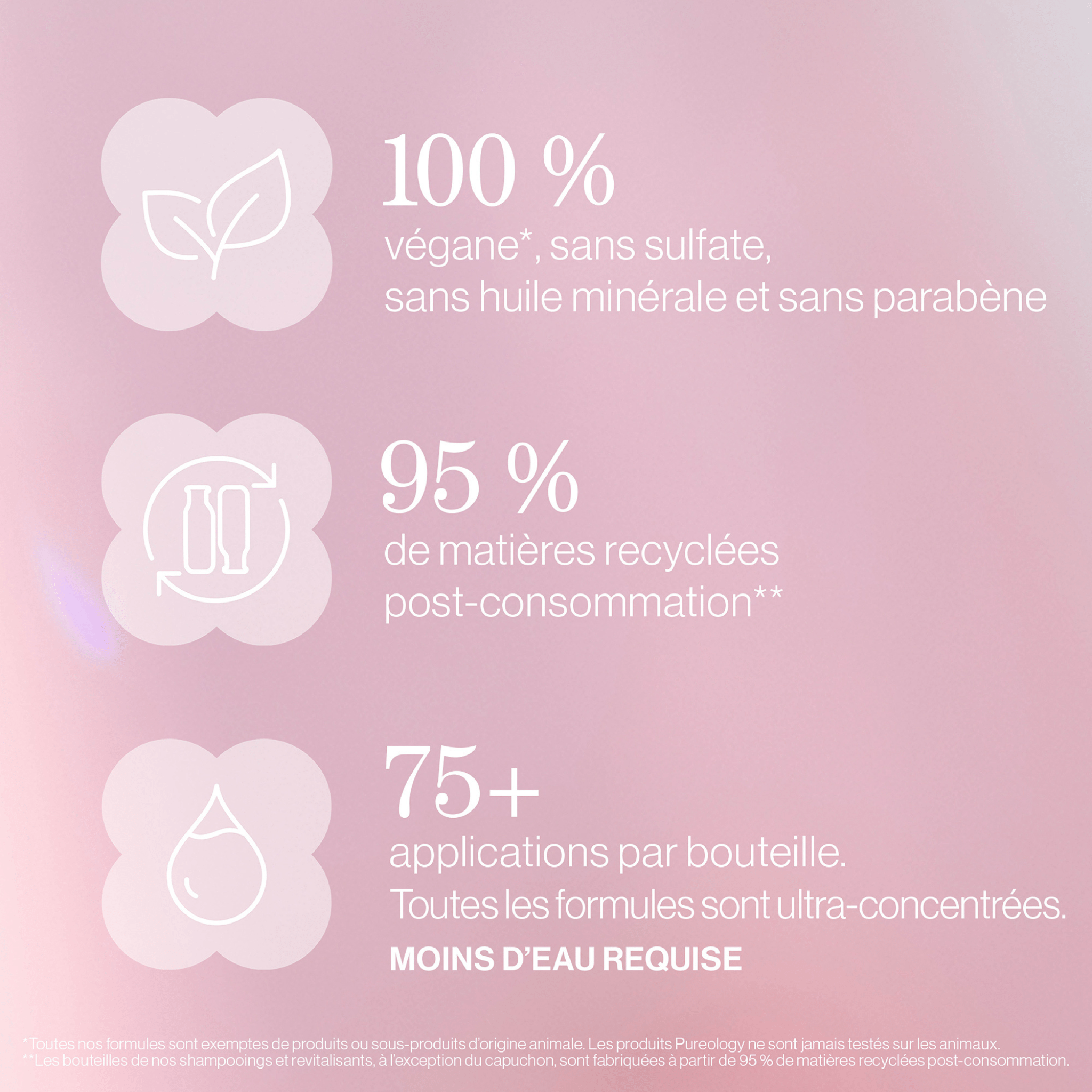 Pureology. Coffret Des Fêtes Pure Volume (Lancement 1er Septembre 2025) - Concept C. Shop