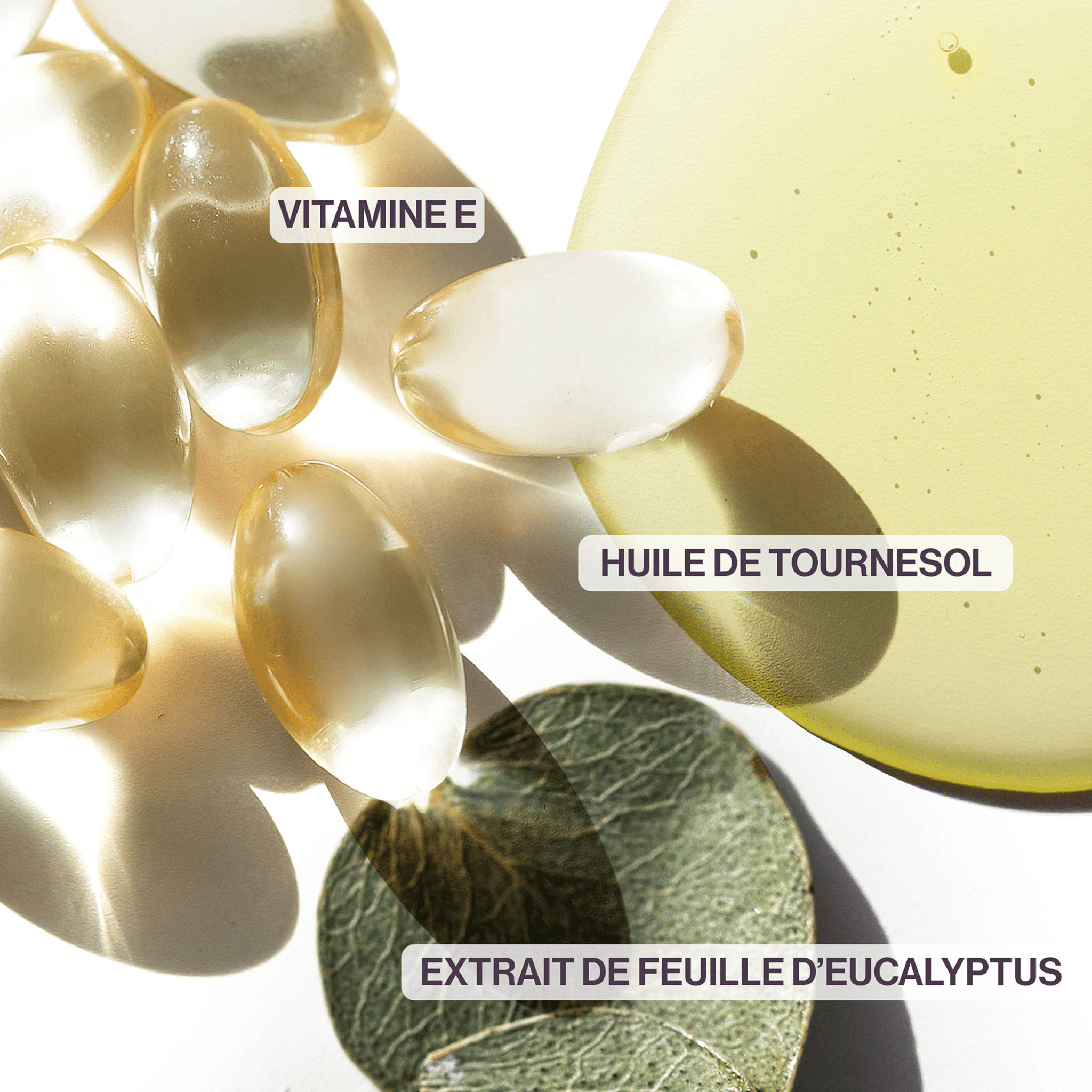 Pureology. Coffret Des Fêtes Pure Volume (Lancement 1er Septembre 2025) - Concept C. Shop