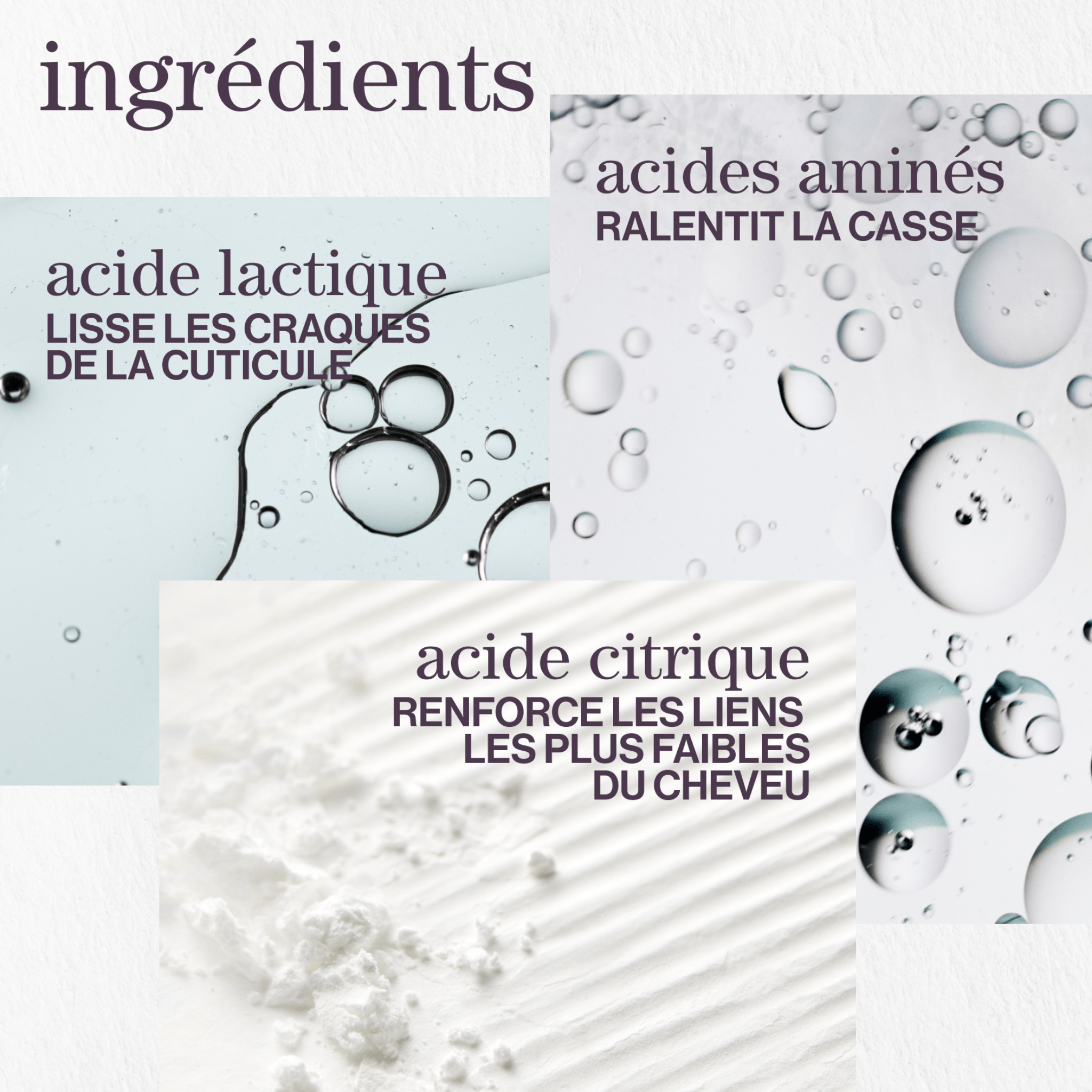 Pureology. Coffret Des Fêtes Strength Cure (Lancement 1er Septembre 2025) - Concept C. Shop