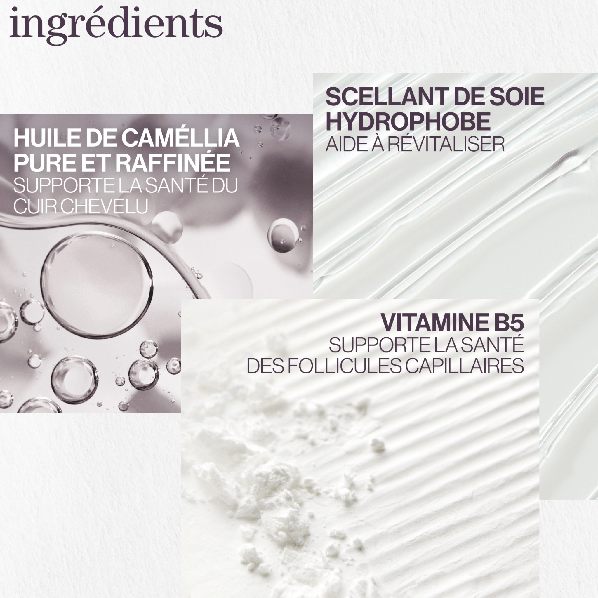 Pureology. Huile Hydrate Glow Catcher - 50 ml (Lancement 1er Septembre) - Concept C. Shop