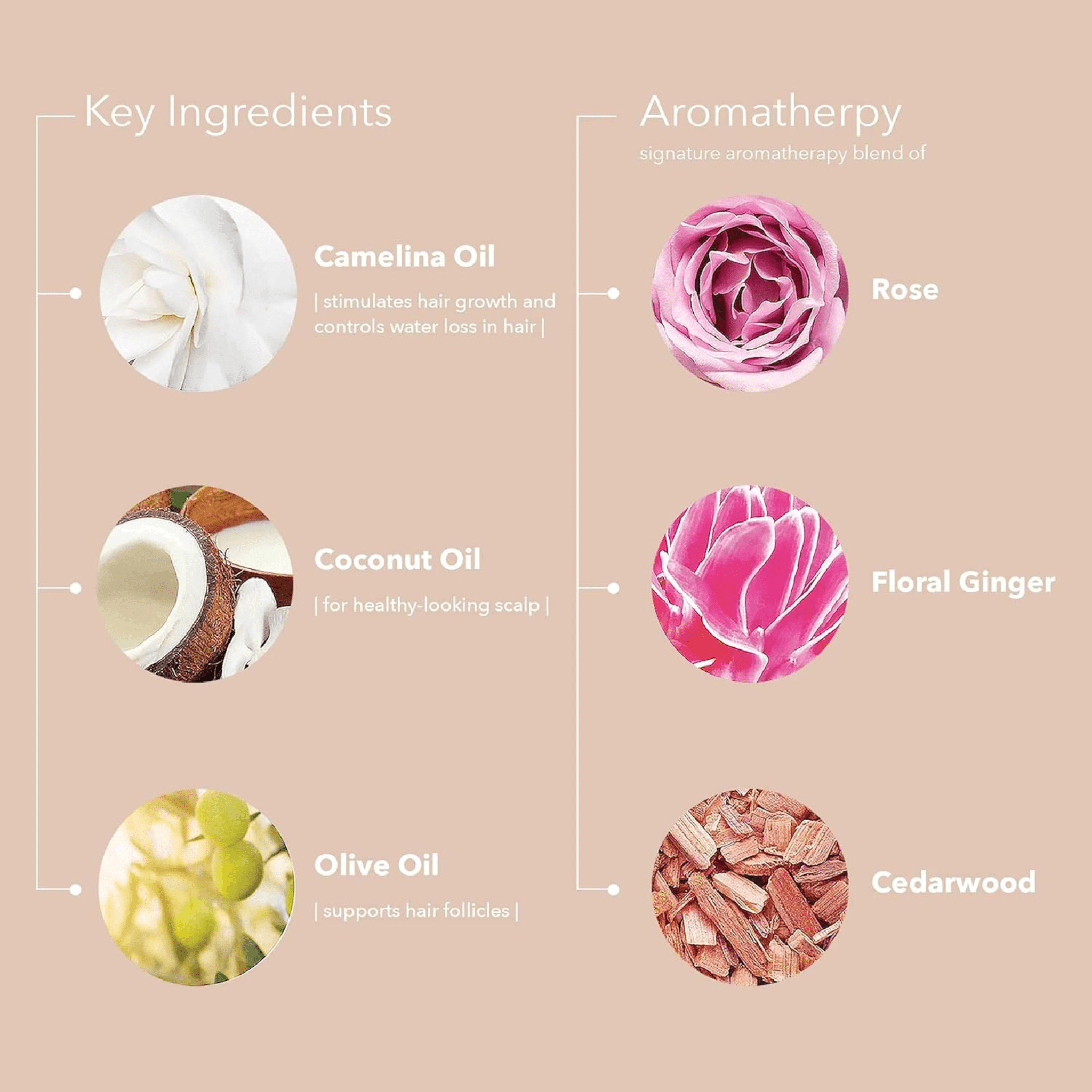 Pureology. Masque Multi - Usages Color Fanatic - 200 ml - Concept C. Shop