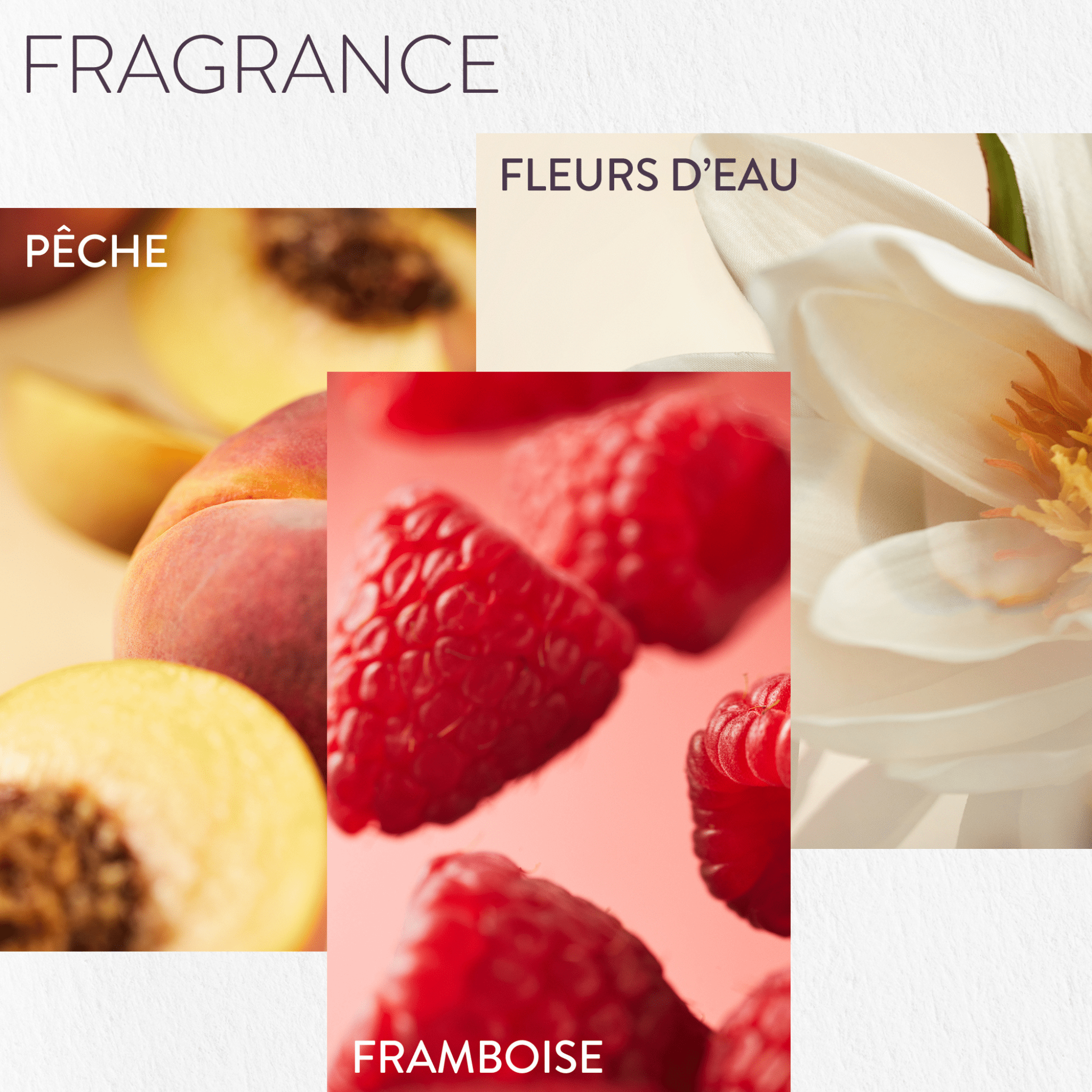 Pureology. Masque Traitement Strength Cure - 250 ml - Concept C. Shop