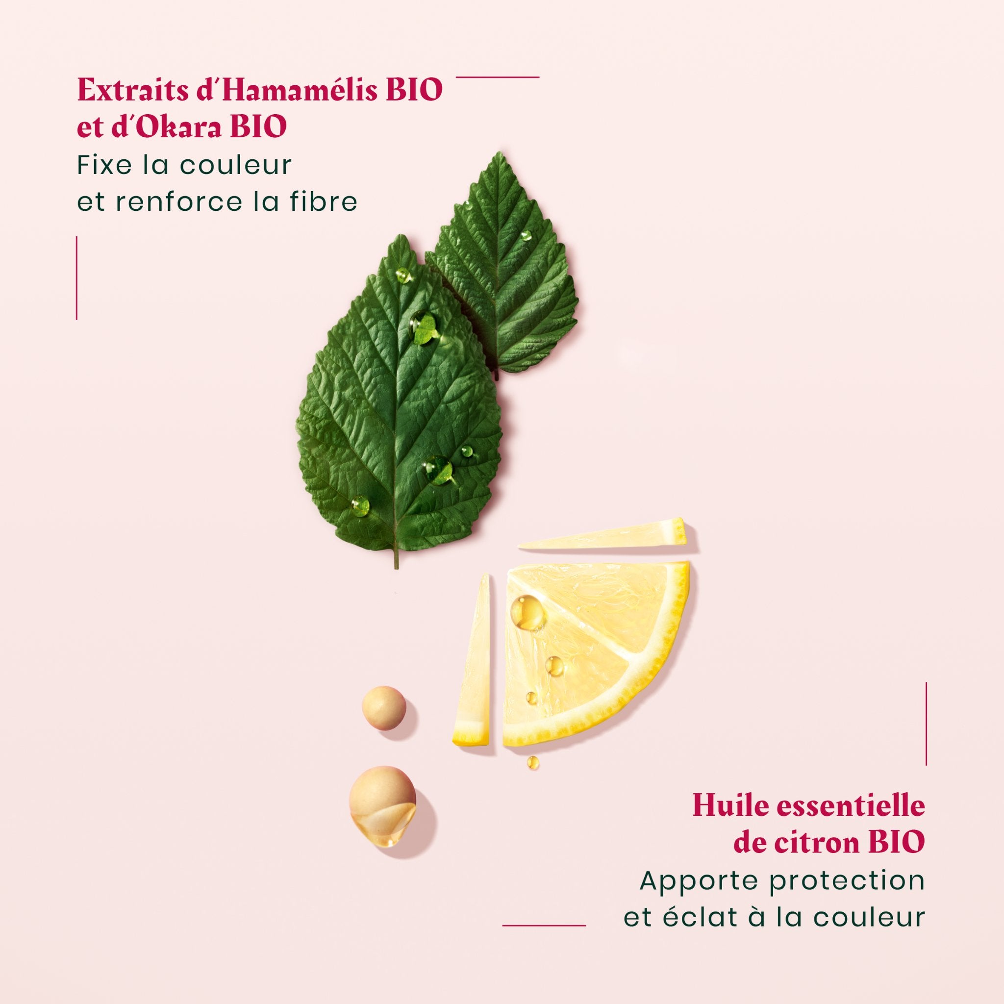 René Furterer. Coffret Des Fêtes Color Glow