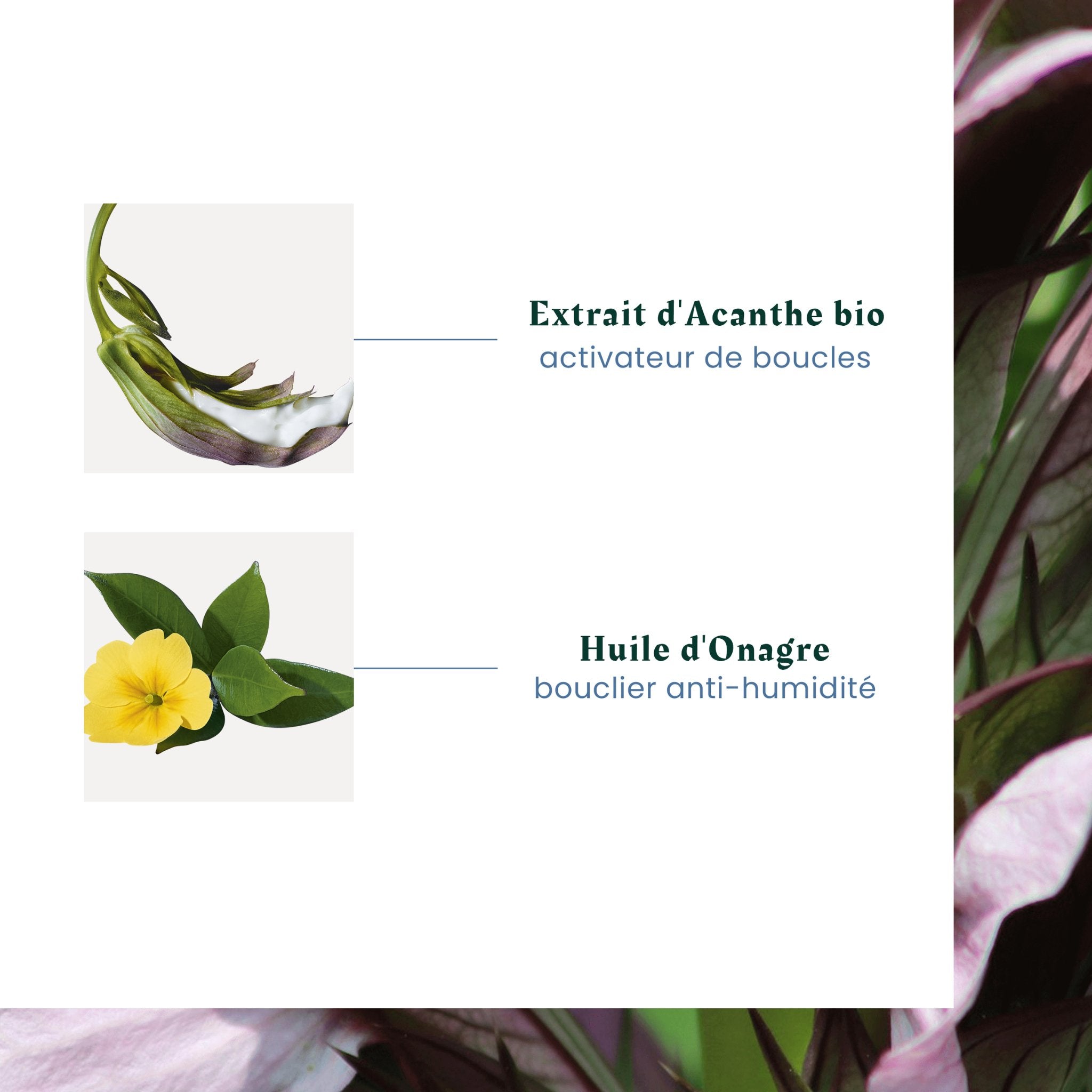 René Furterer. Sublime Curl Velouté Nutri - Activateur de Boucles - 100 ml - Concept C. Shop