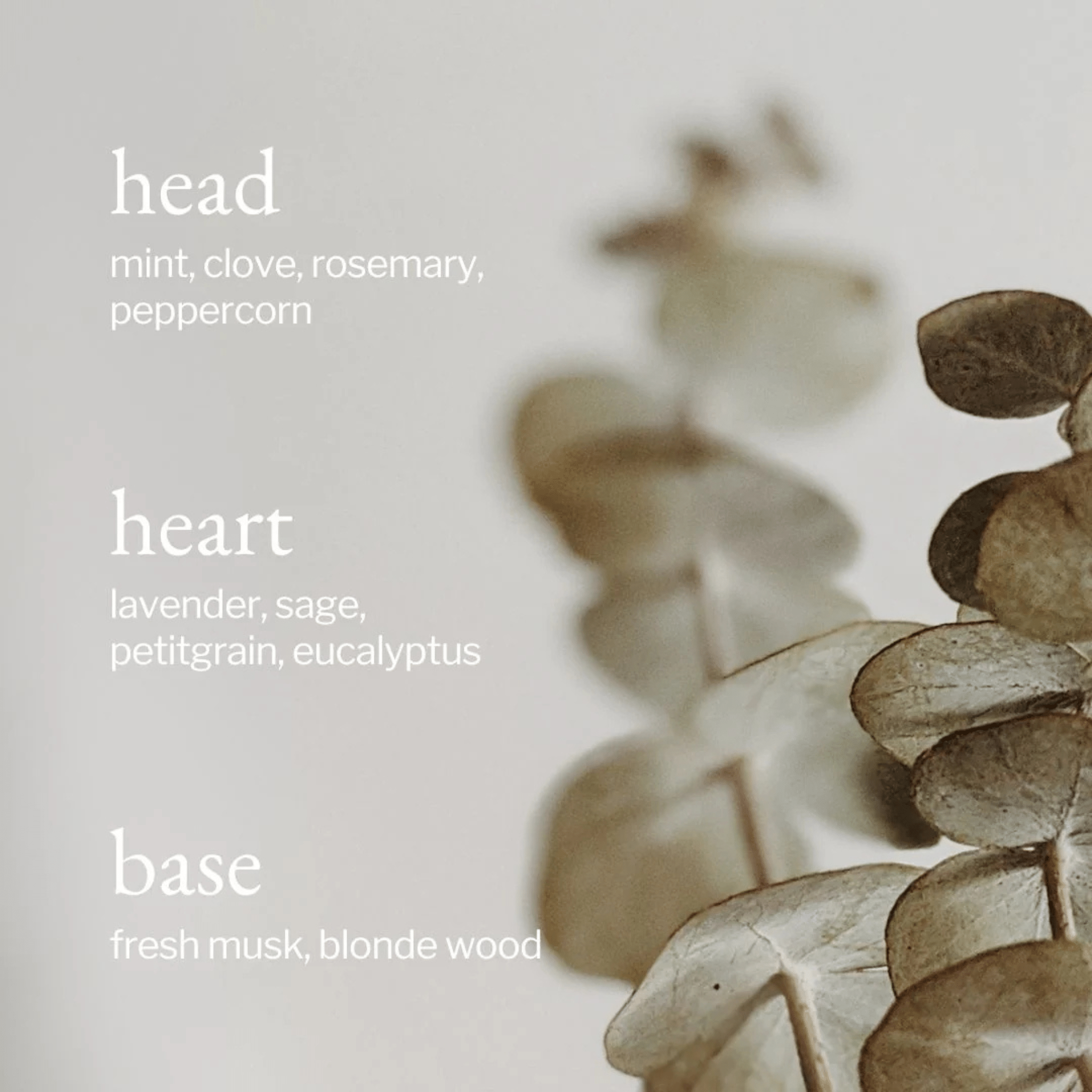 SOJA&CO. Bain Moussant Eucalyptus, Menthe & Romarin - 500 ml - Concept C. Shop