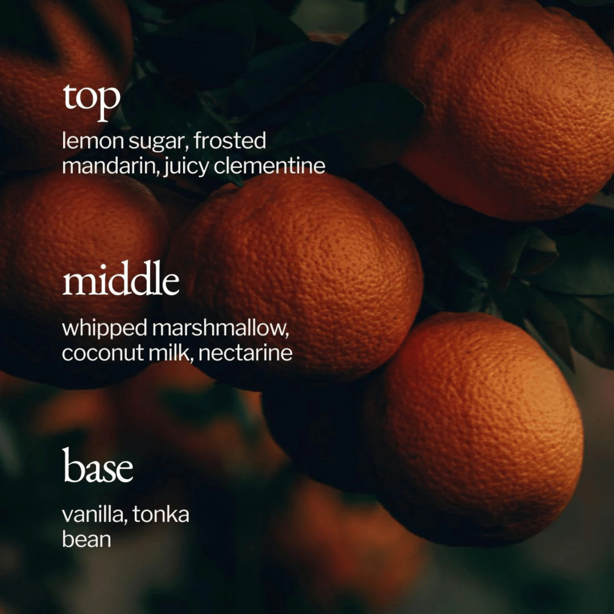 SOJA&CO. Bougie Guimauve + Clémentine - 4 oz - Concept C. Shop