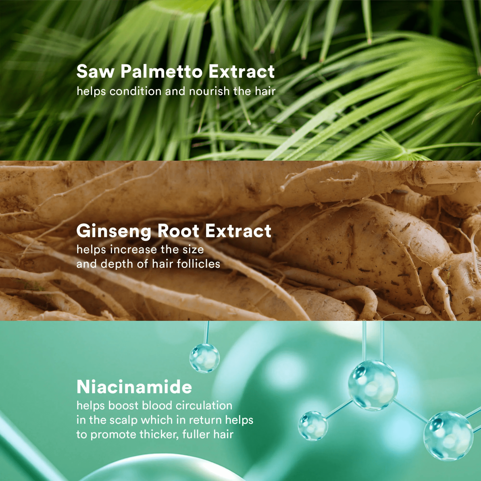 Verb. Shampoing Densité Aux Peptides - 355 ml - Concept C. Shop