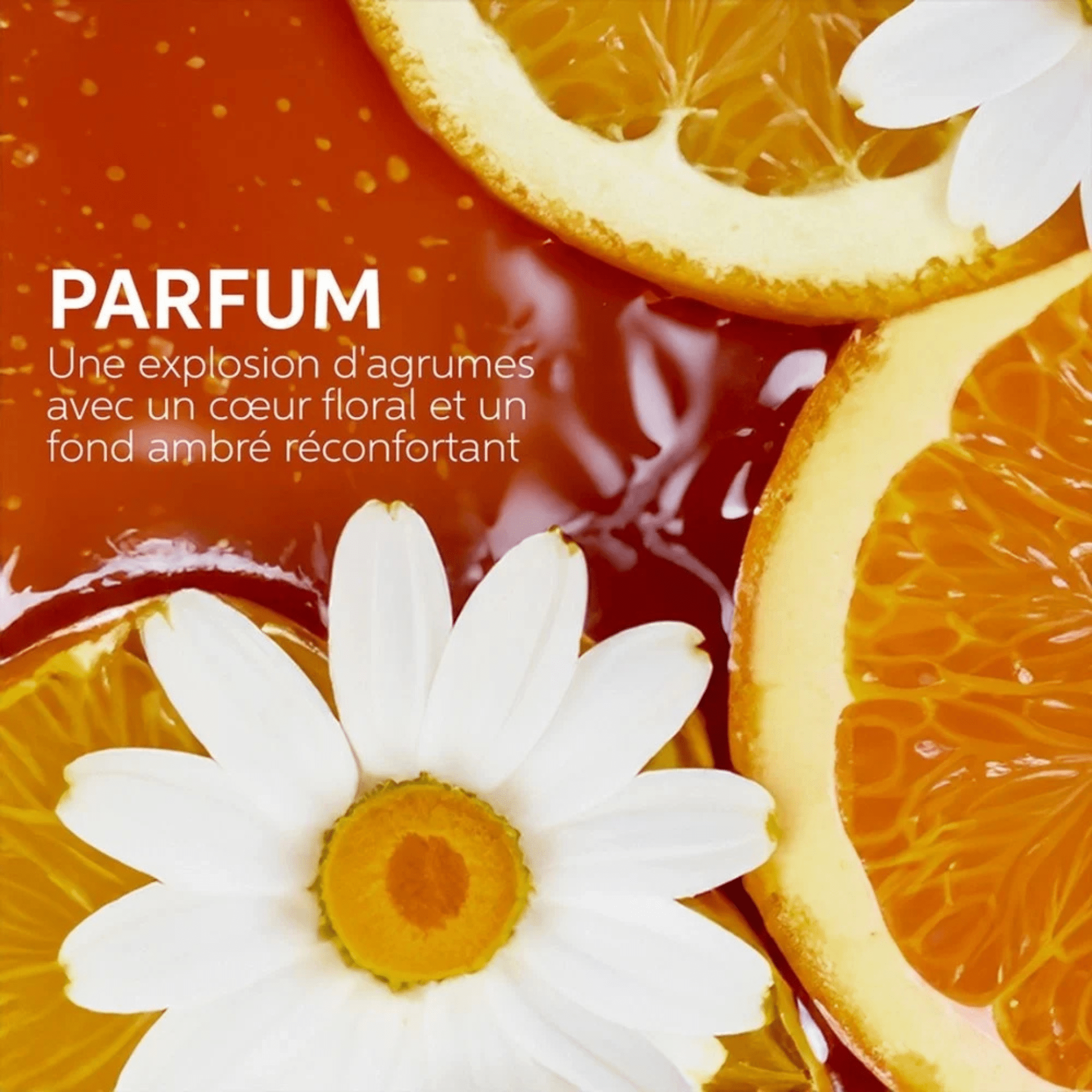 Wella. Masque Intense Ultimate Smooth - 500 ml - Concept C. Shop