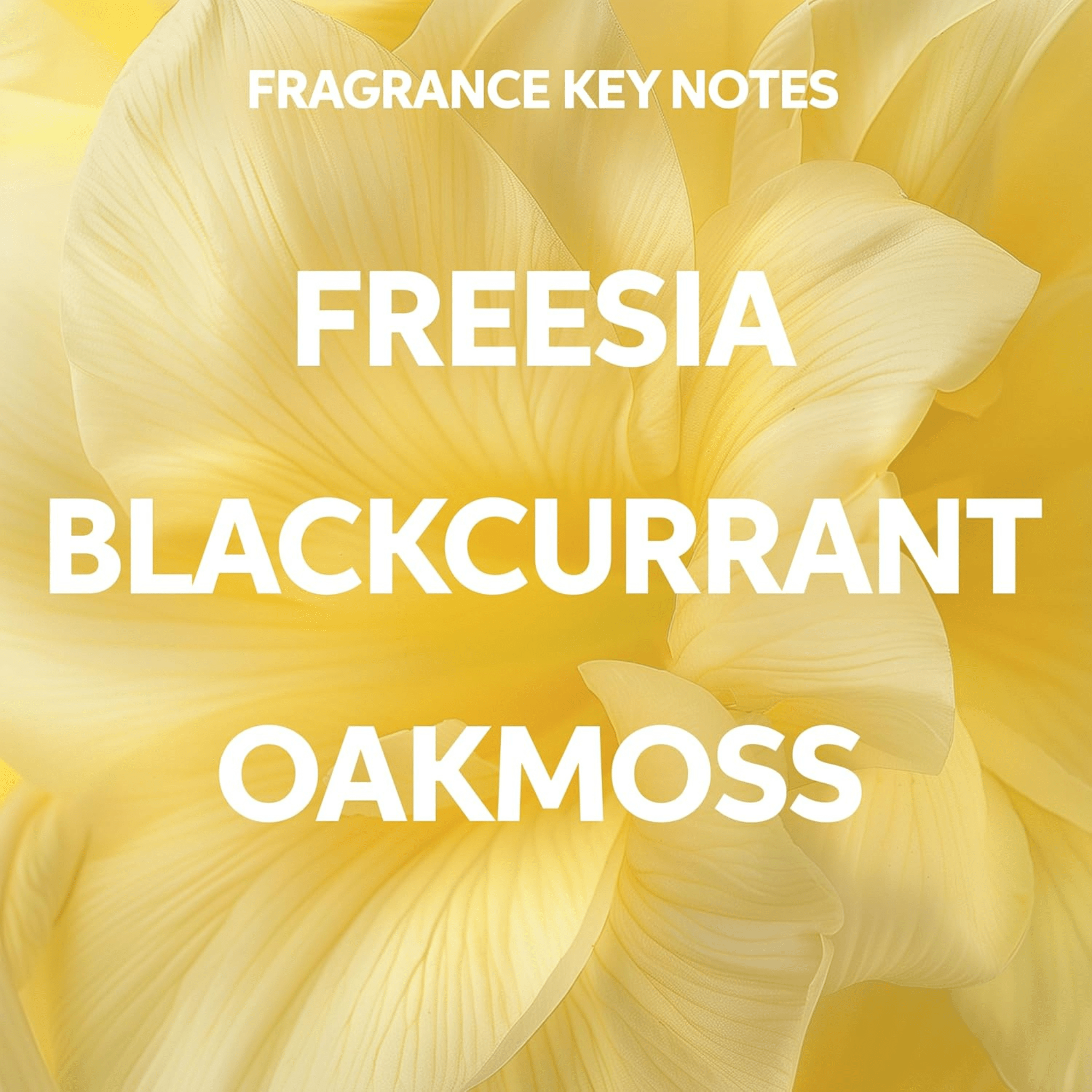 Wella. Masque Nutricurls Curls and Waves - 500 ml - Concept C. Shop