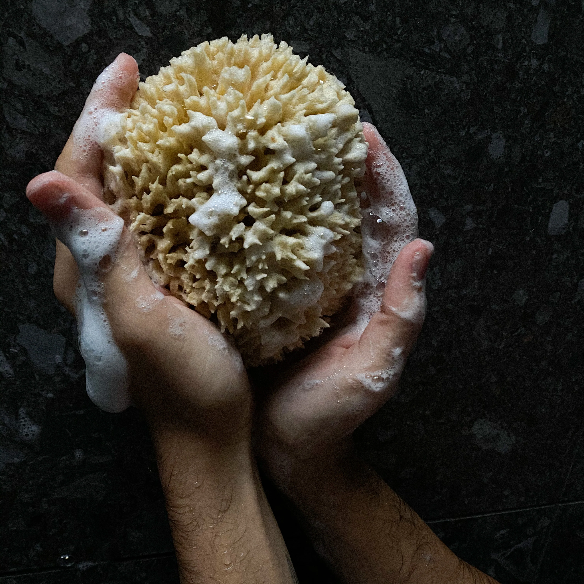 Groom. Gel Douche Hydratant - 475 ml