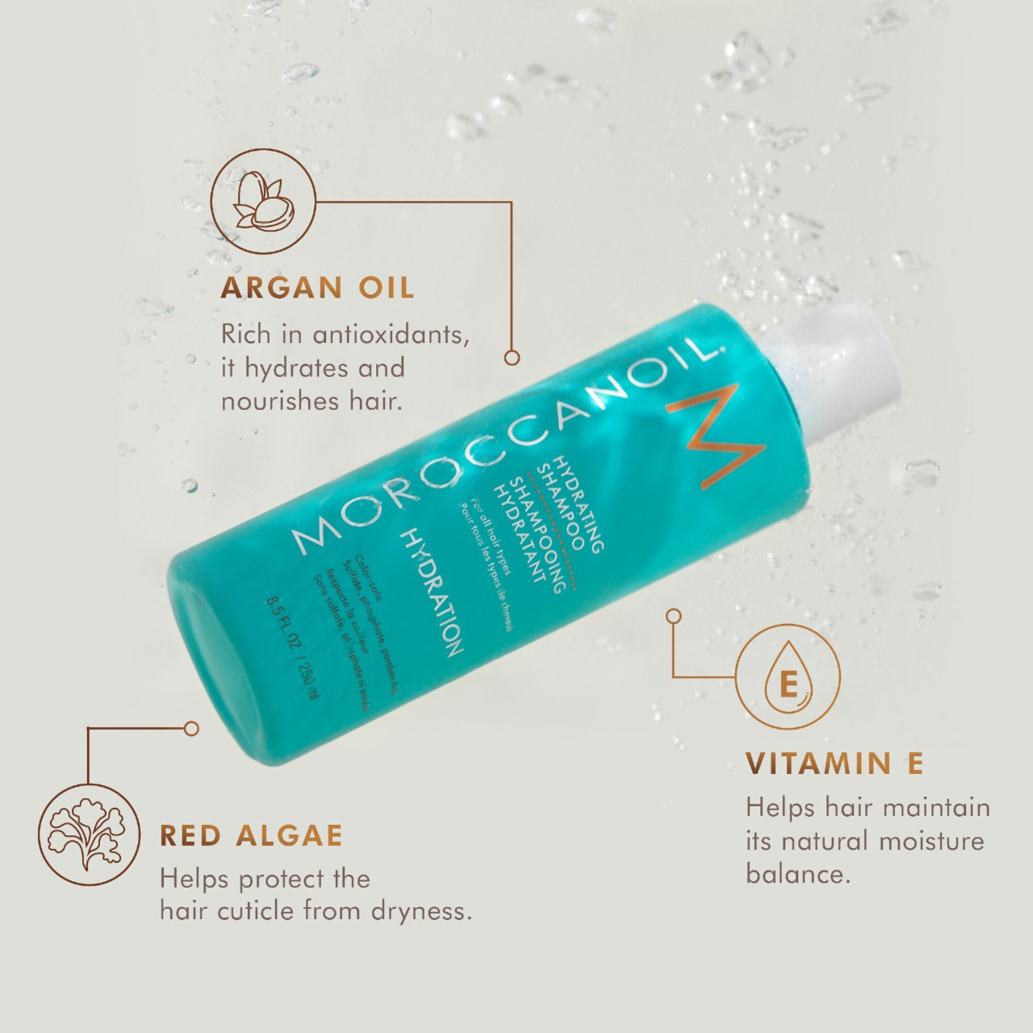 Moroccanoil. Shampoing Hydratant Hydration - 70 ml