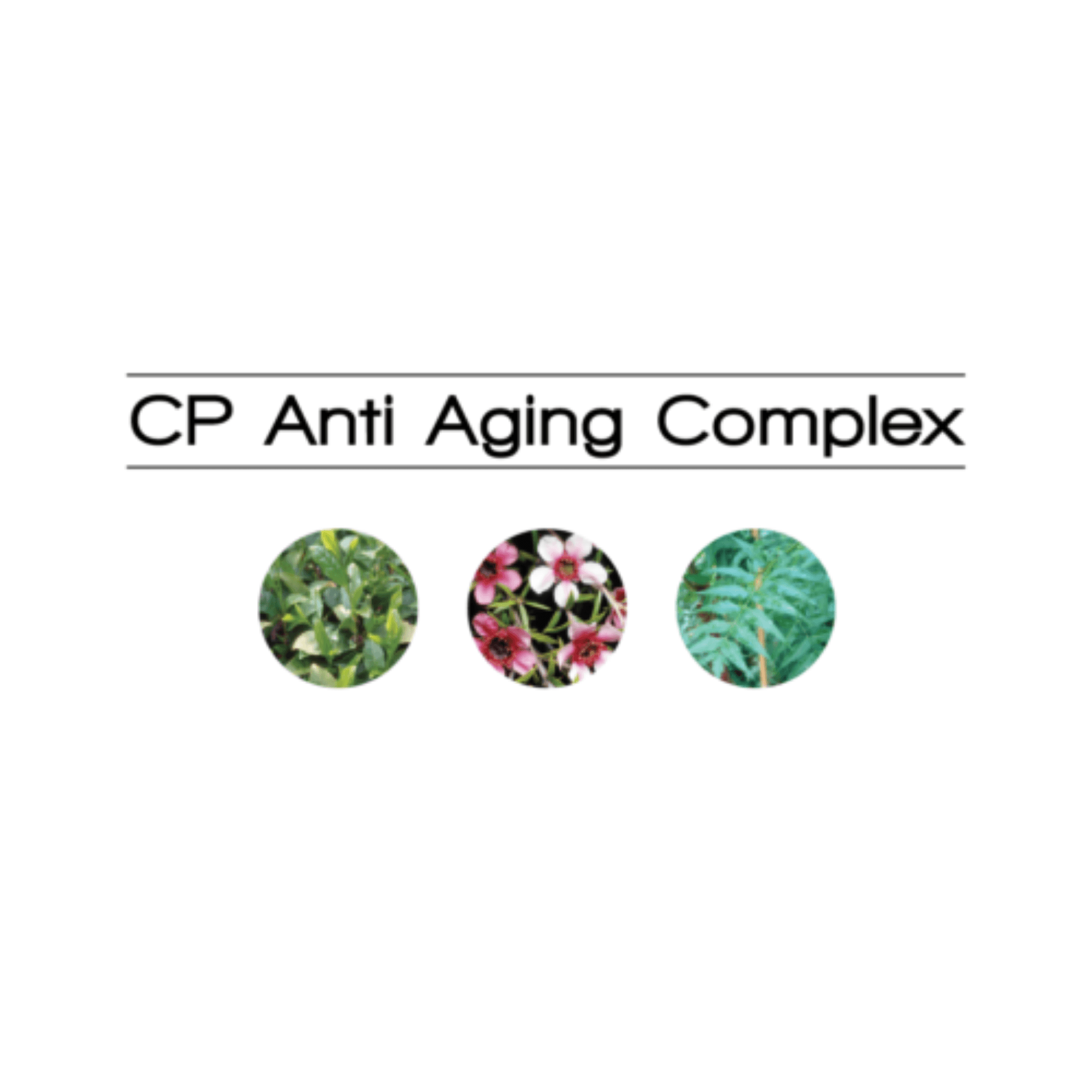 L'Anza. Healing Strength Shampoing White Tea - 1000 ml - Concept C. Shop