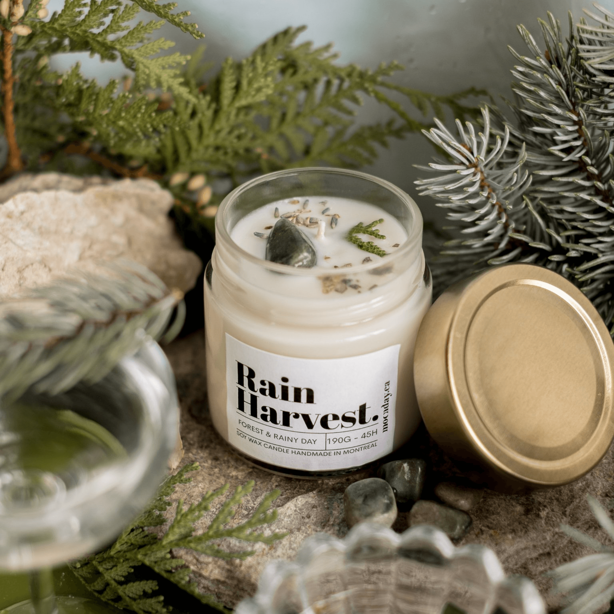 Moonday. Chandelle de Soya Rain Harvest - 190g / 45h - Concept C. Shop