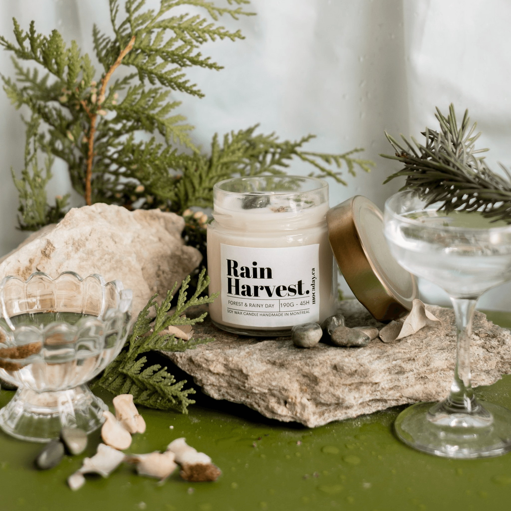 Moonday. Chandelle de Soya Rain Harvest - 190g / 45h - Concept C. Shop