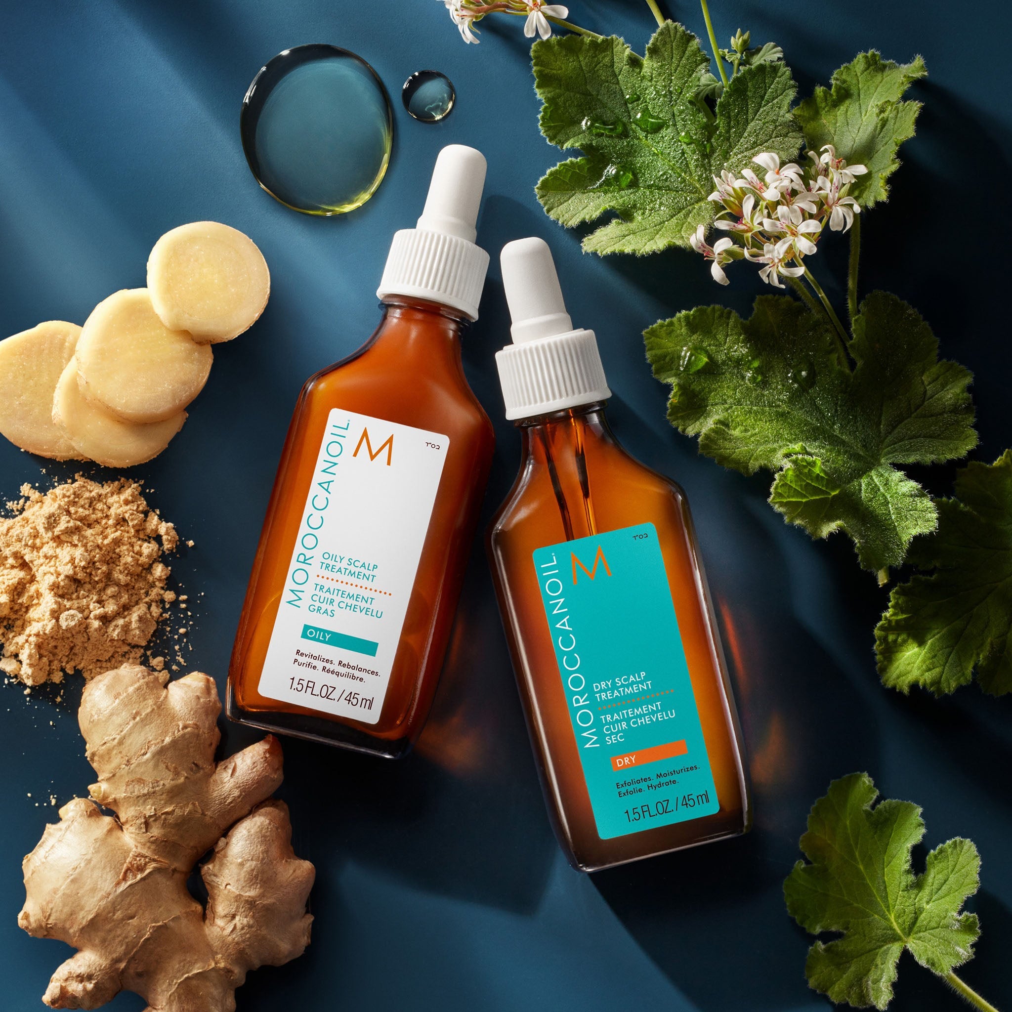 Moroccanoil. Traitement Cuir Chevelu Sec - 45 ml - Concept C. Shop