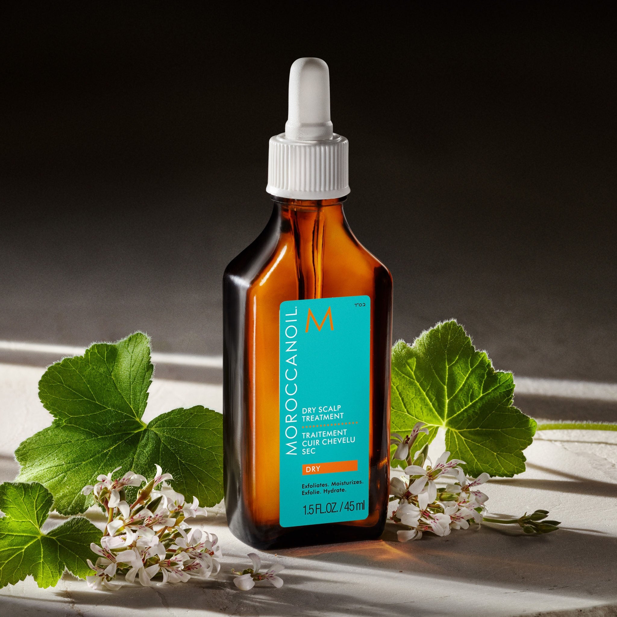 Moroccanoil. Traitement Cuir Chevelu Sec - 45 ml - Concept C. Shop