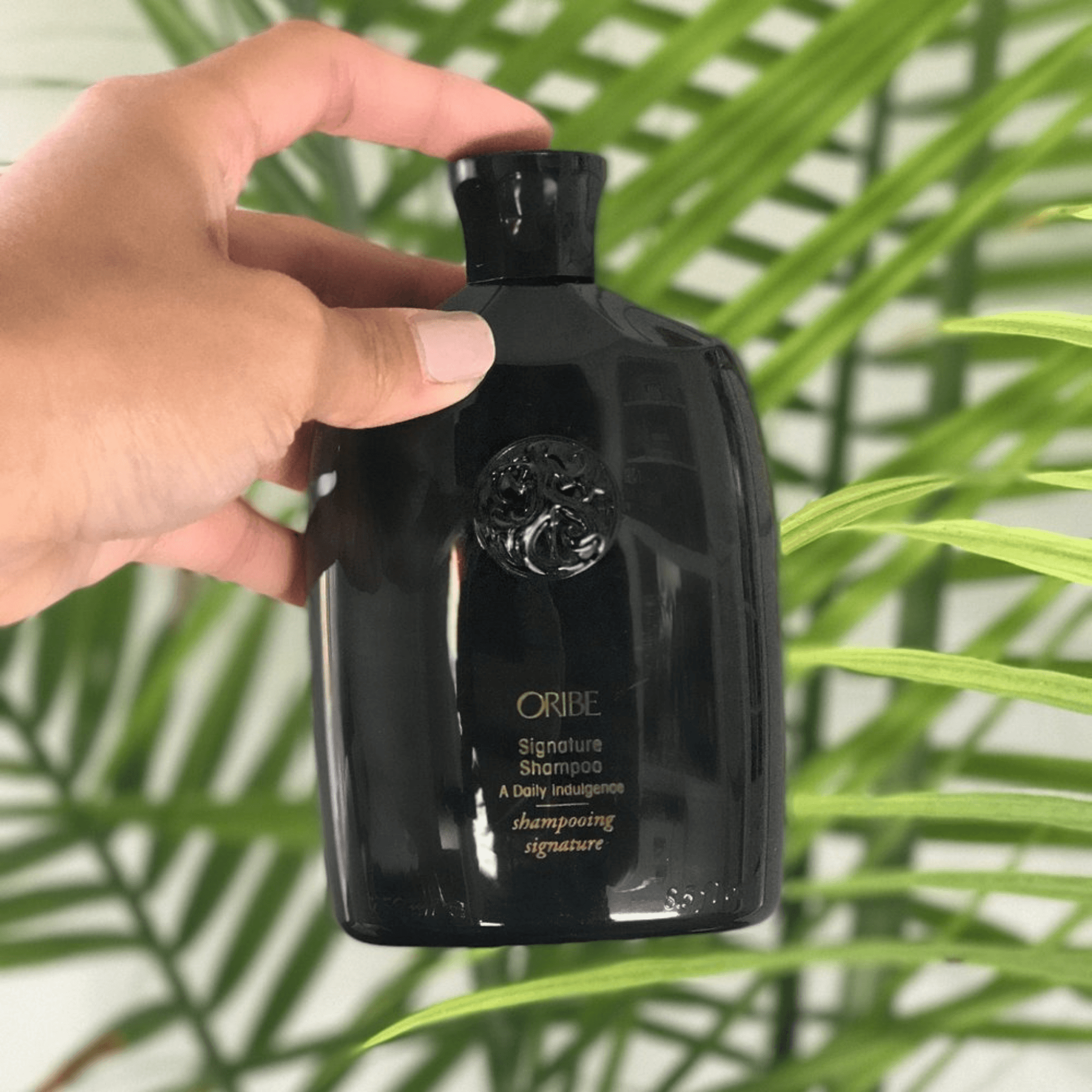 Oribe. Shampoing Signature - 250ml - Concept C. Shop