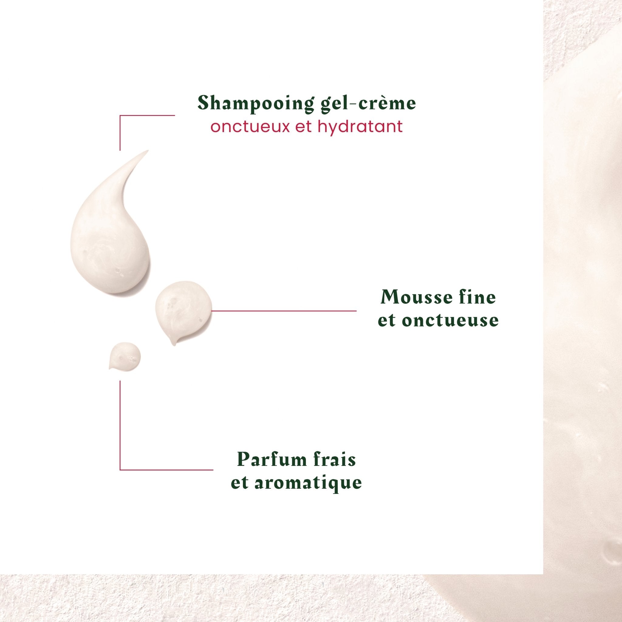 René Furterer. Neopur Shampoing Équilibrant Cuir Chevelu Sec - 250 ml - Concept C. Shop