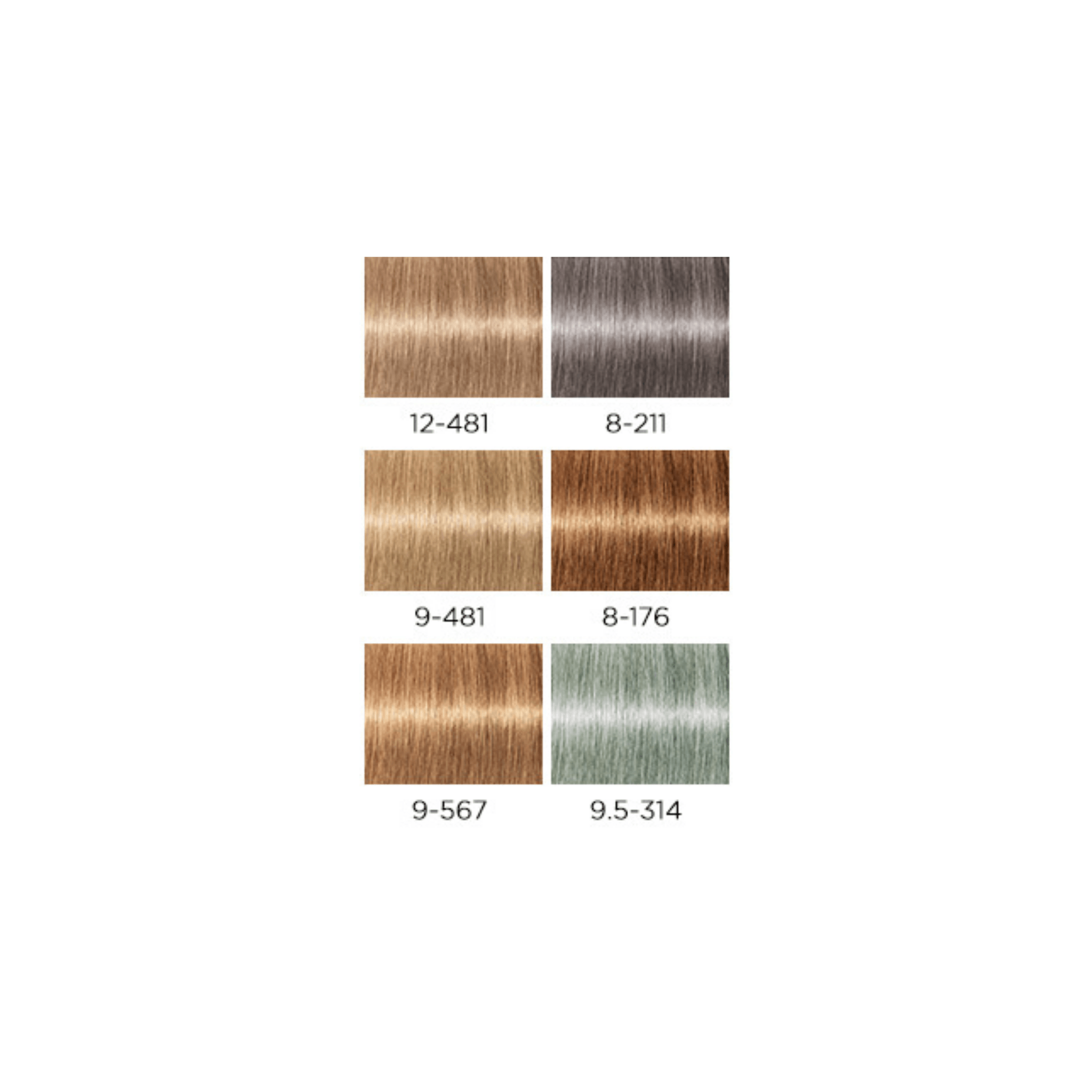 Schwarzkopf. Igora Royal Disheveled Nudes - 60ml - Concept C. Shop