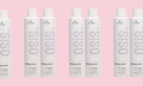 2 Refresh Dust pour 30$