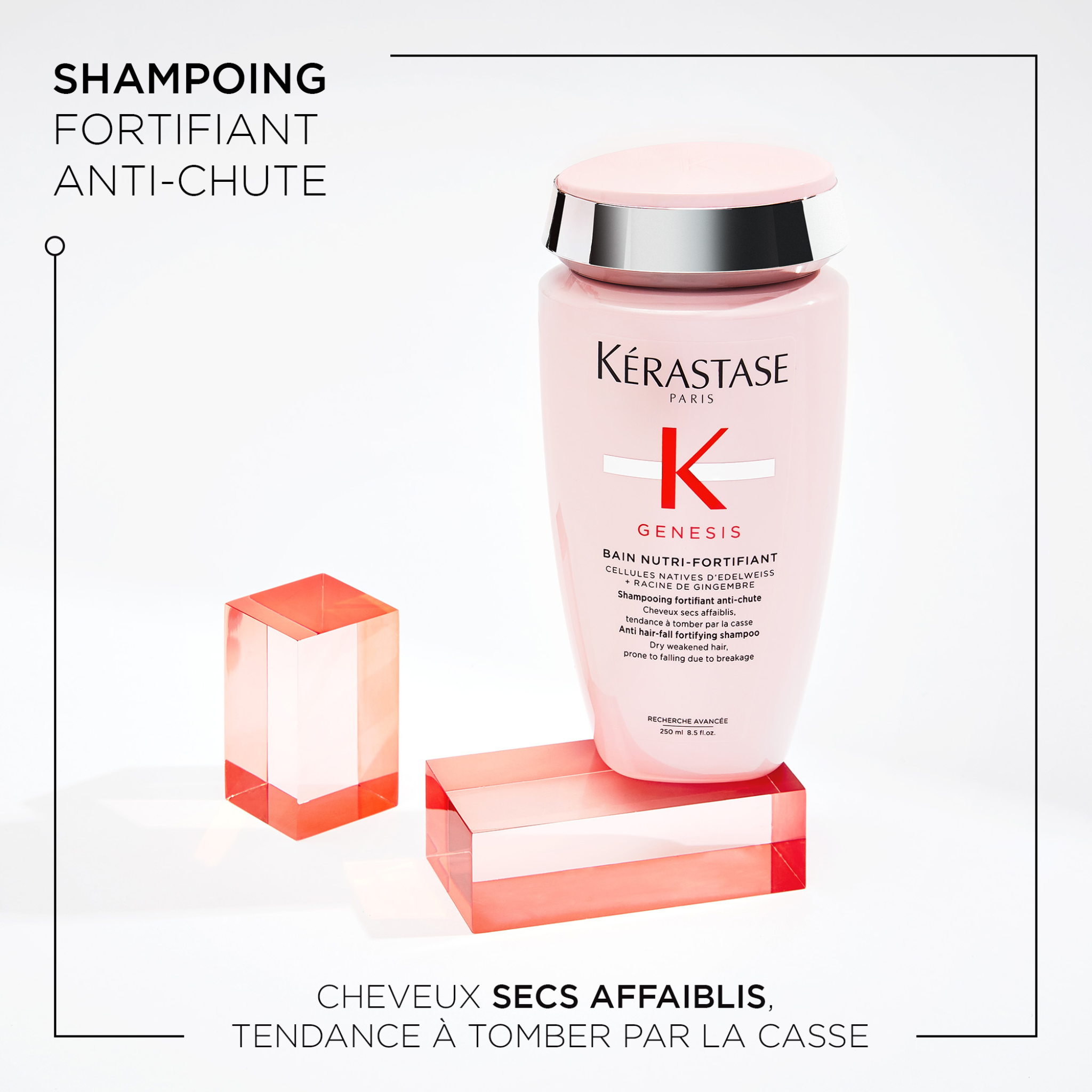 Kérastase. Genesis Fortifying Routine for Dry and Thick Hair