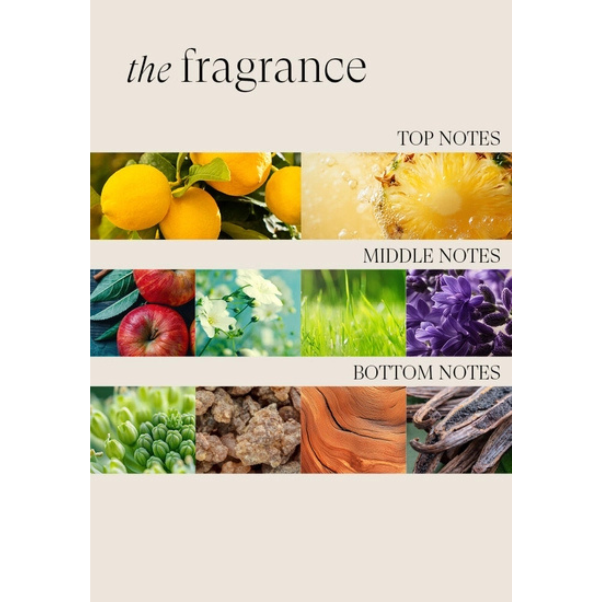 The Anza. Healing Color Care Duo