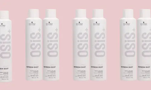 2 Refresh Dust pour 30$