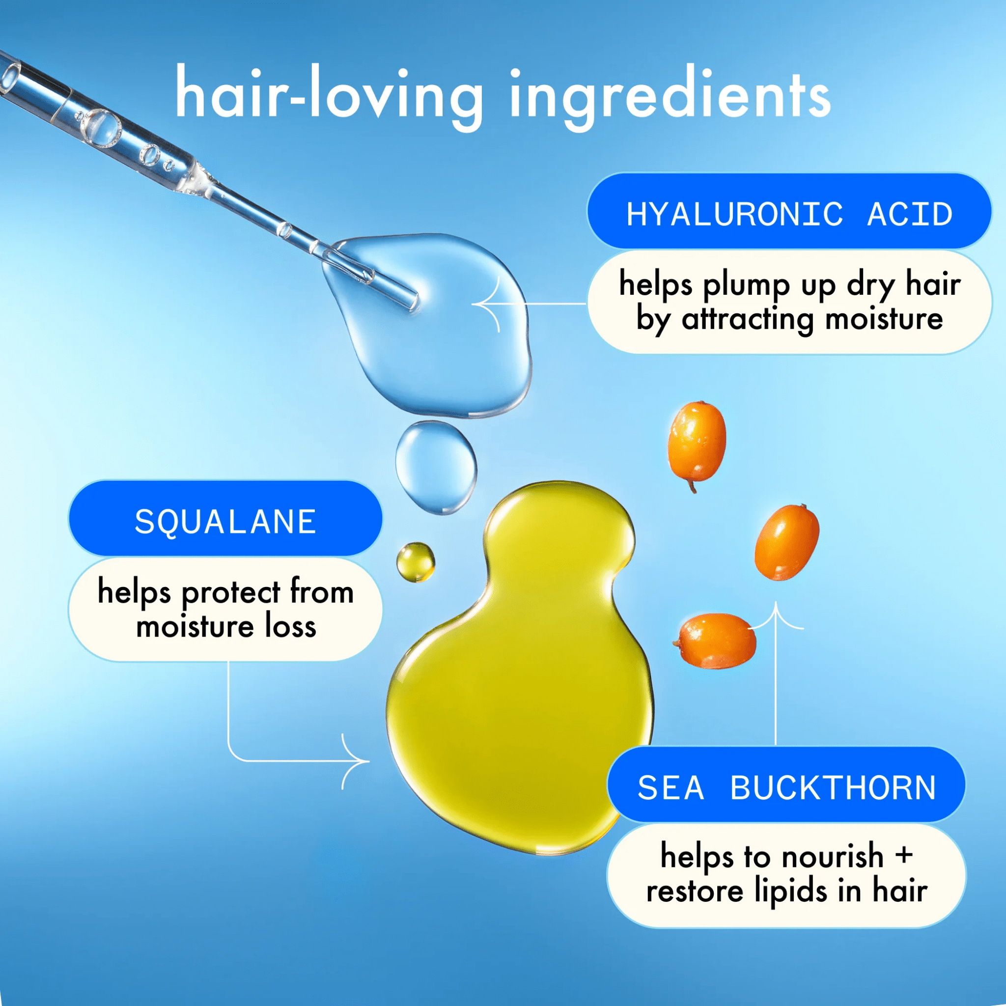 Amika. Coffret Hydration Heavyweights - Concept C. Shop