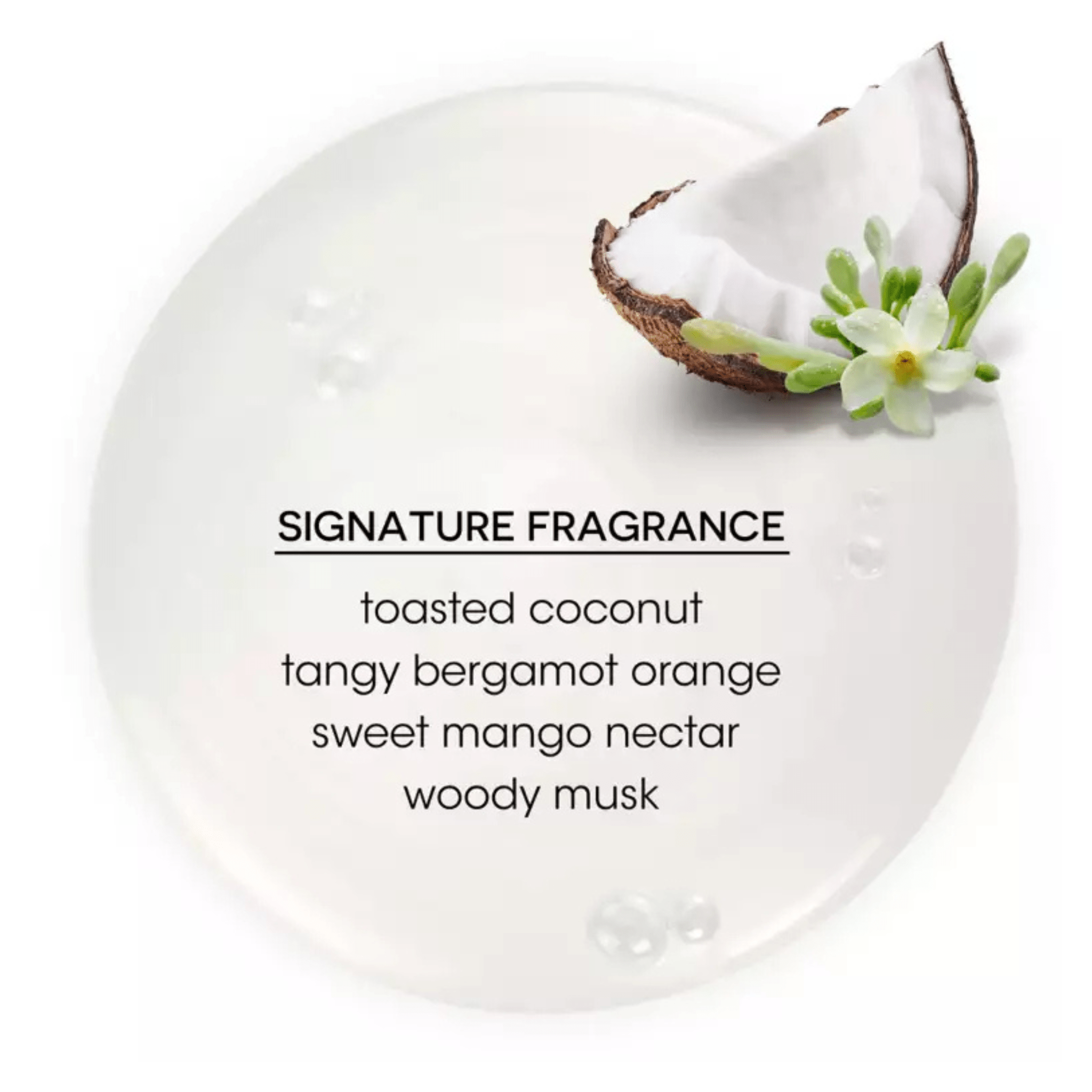 Bain De Terre. Revitalisant Ultra Hydratant Coconut Papaya - 400 ml - Concept C. Shop