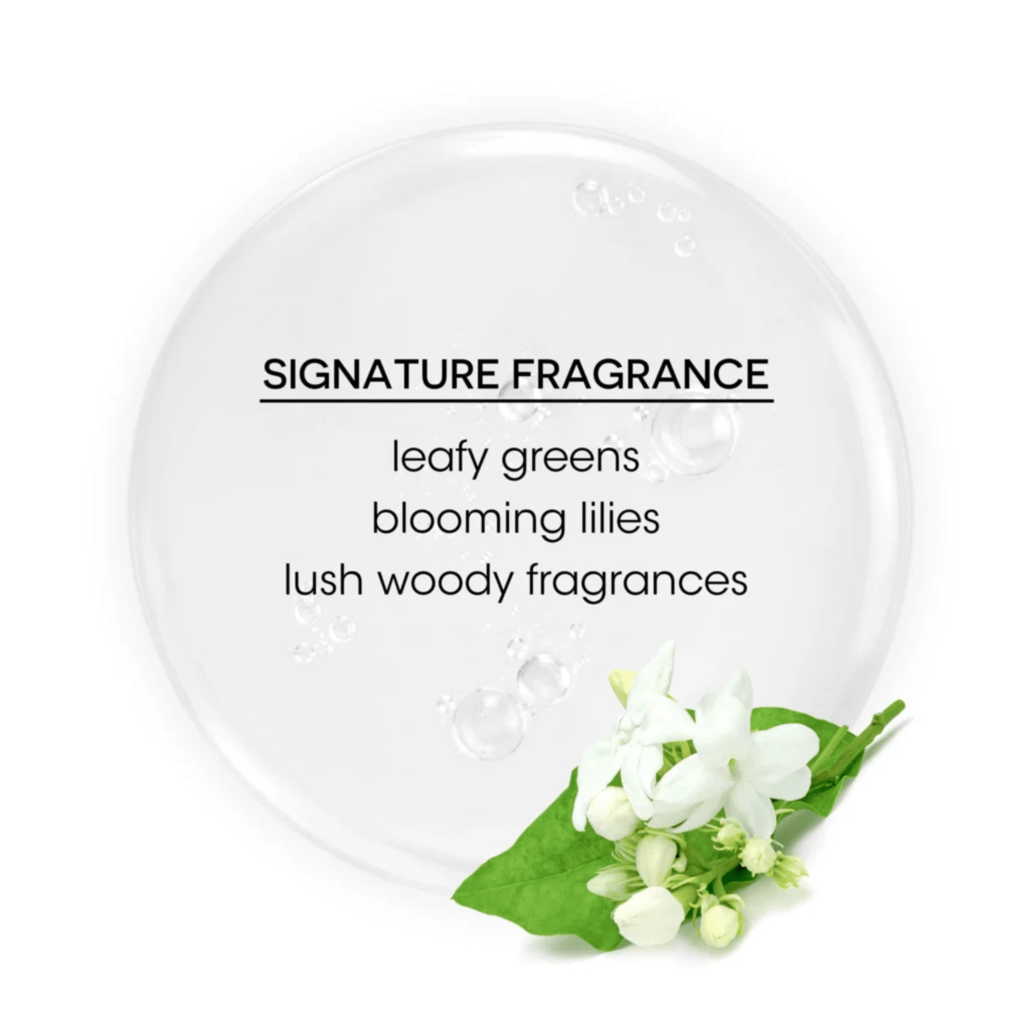 Bain De Terre. Sérum Lustrant Anti - Frisottis Recovery Complex - 100 ml - Concept C. Shop