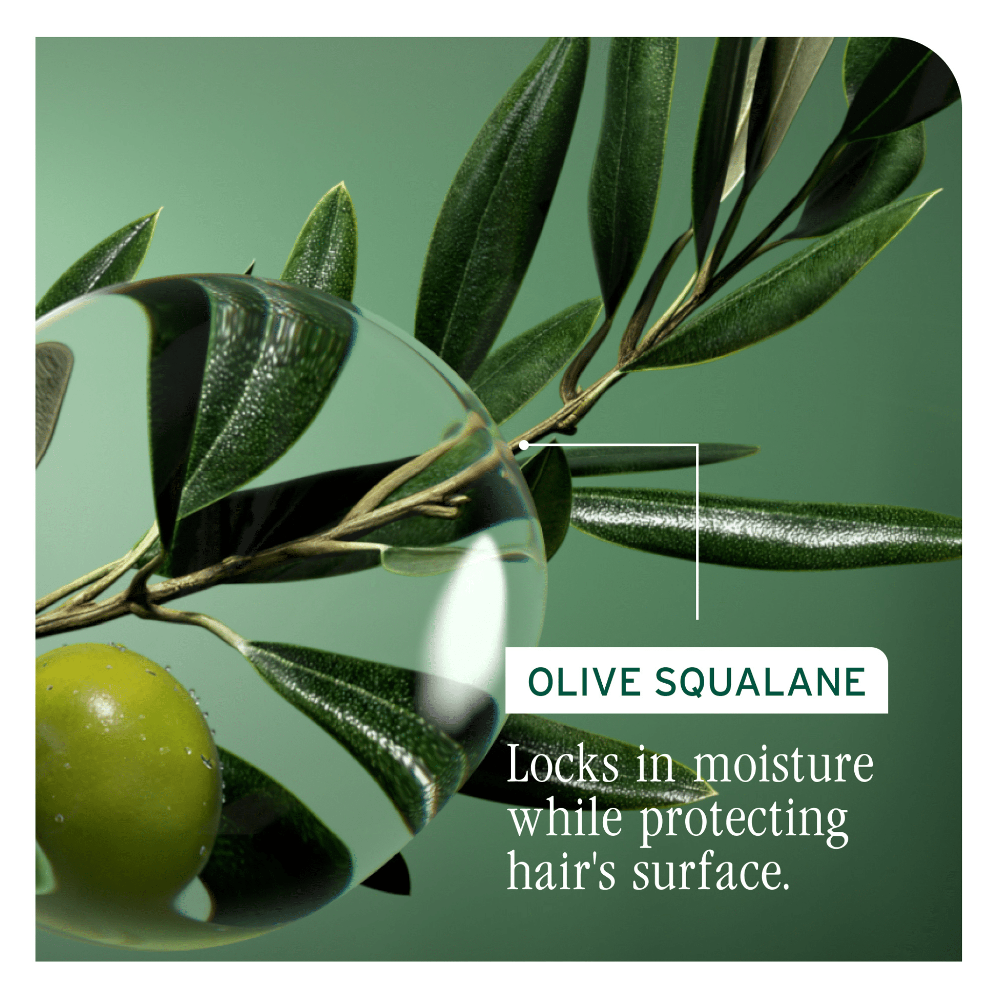 Biolage. Masque Soin Profond Strength Recovery - 100 ml - Concept C. Shop
