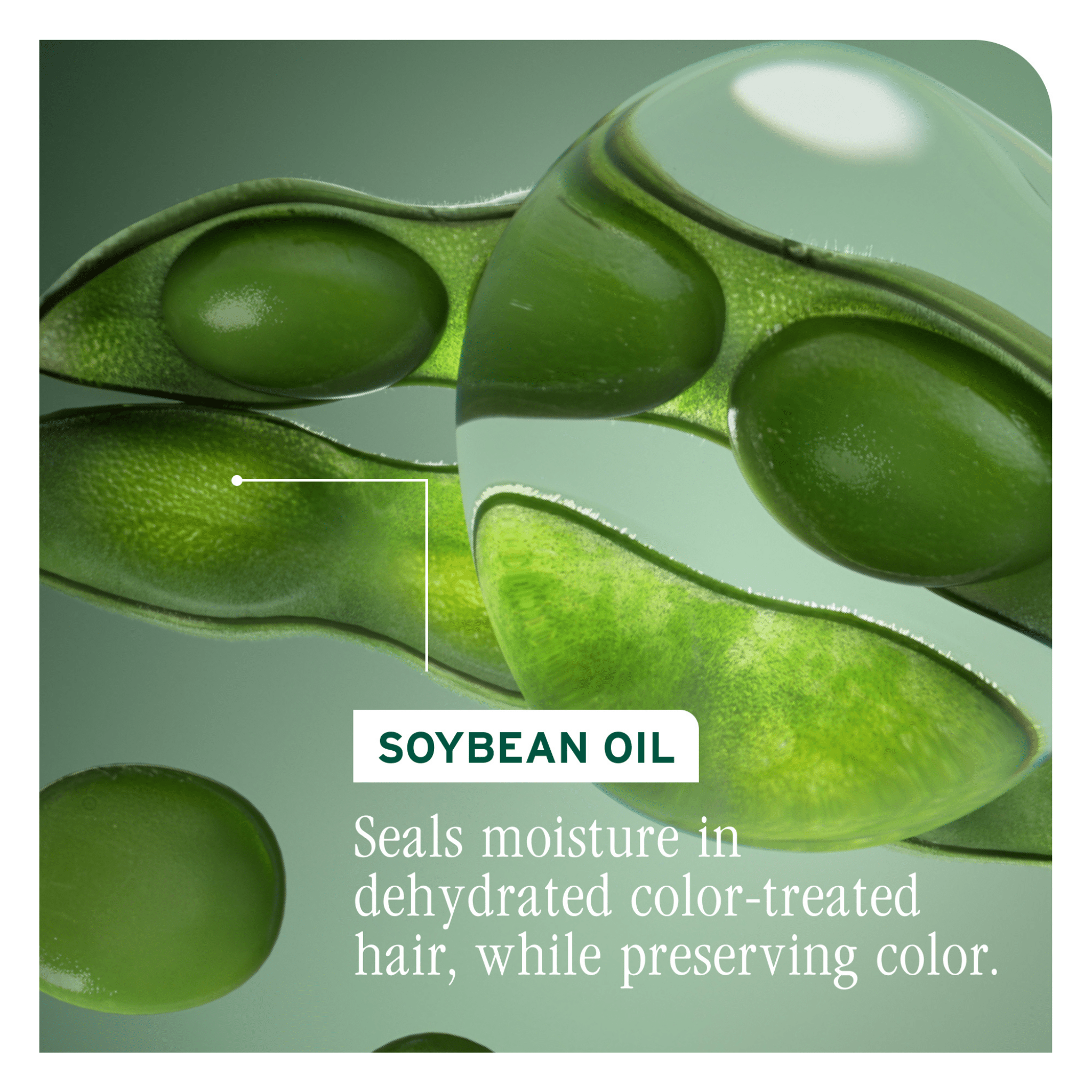 Biolage. Revitalisant Color Last - 1000 ml - Concept C. Shop