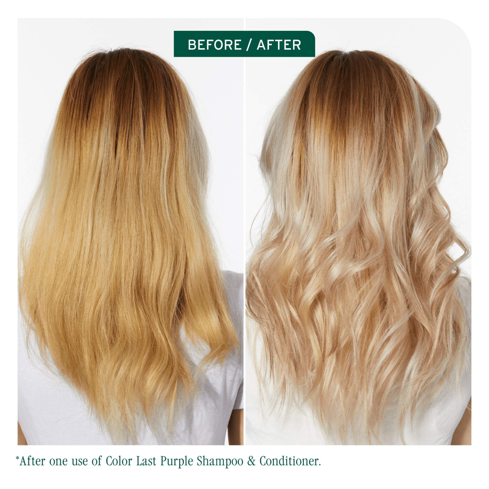 Biolage. Revitalisant Color Last - 1000 ml - Concept C. Shop