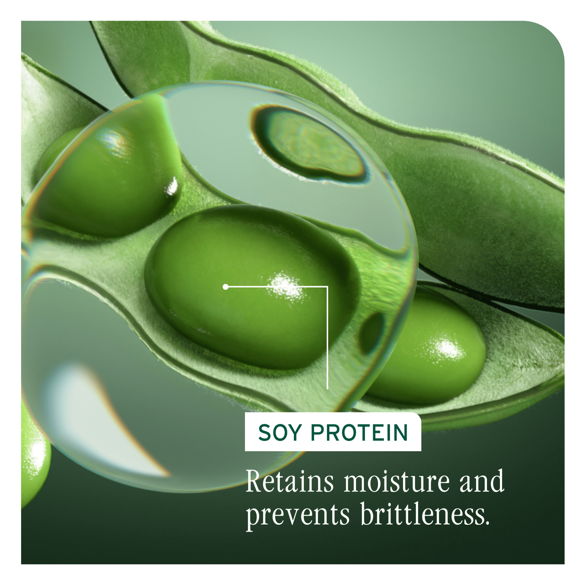Biolage. Revitalisant Volume Boost - 1000 ml - Concept C. Shop