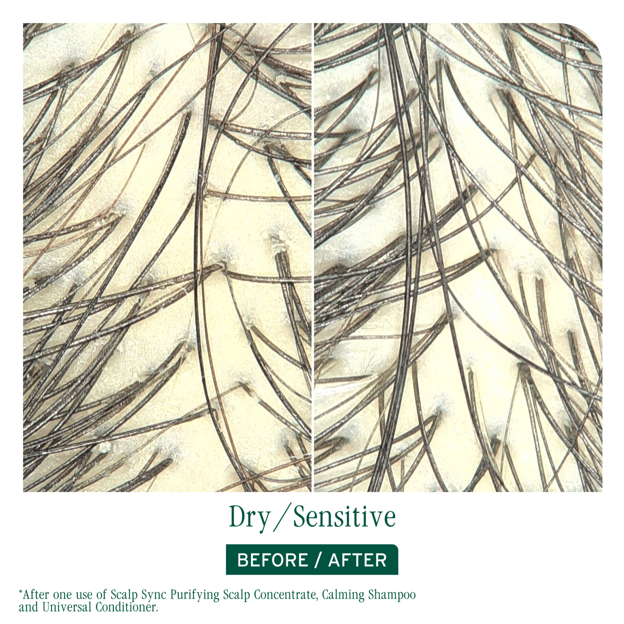 Biolage. Shampoing Apaisant Scalp Sync - 1000 ml - Concept C. Shop