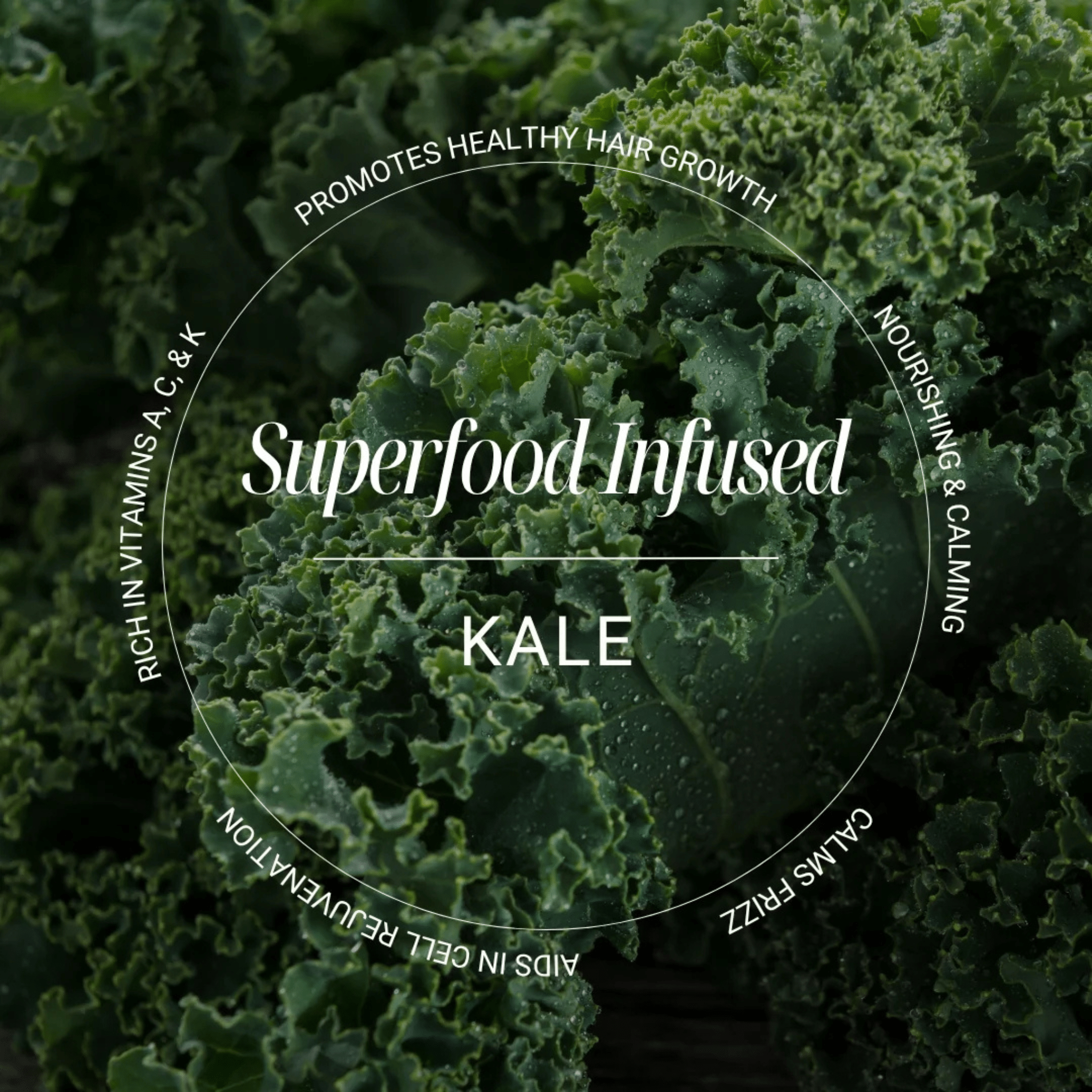 Biotop. Masque Réparateur Keratin & Kale 700 - 250 ml - Concept C. Shop