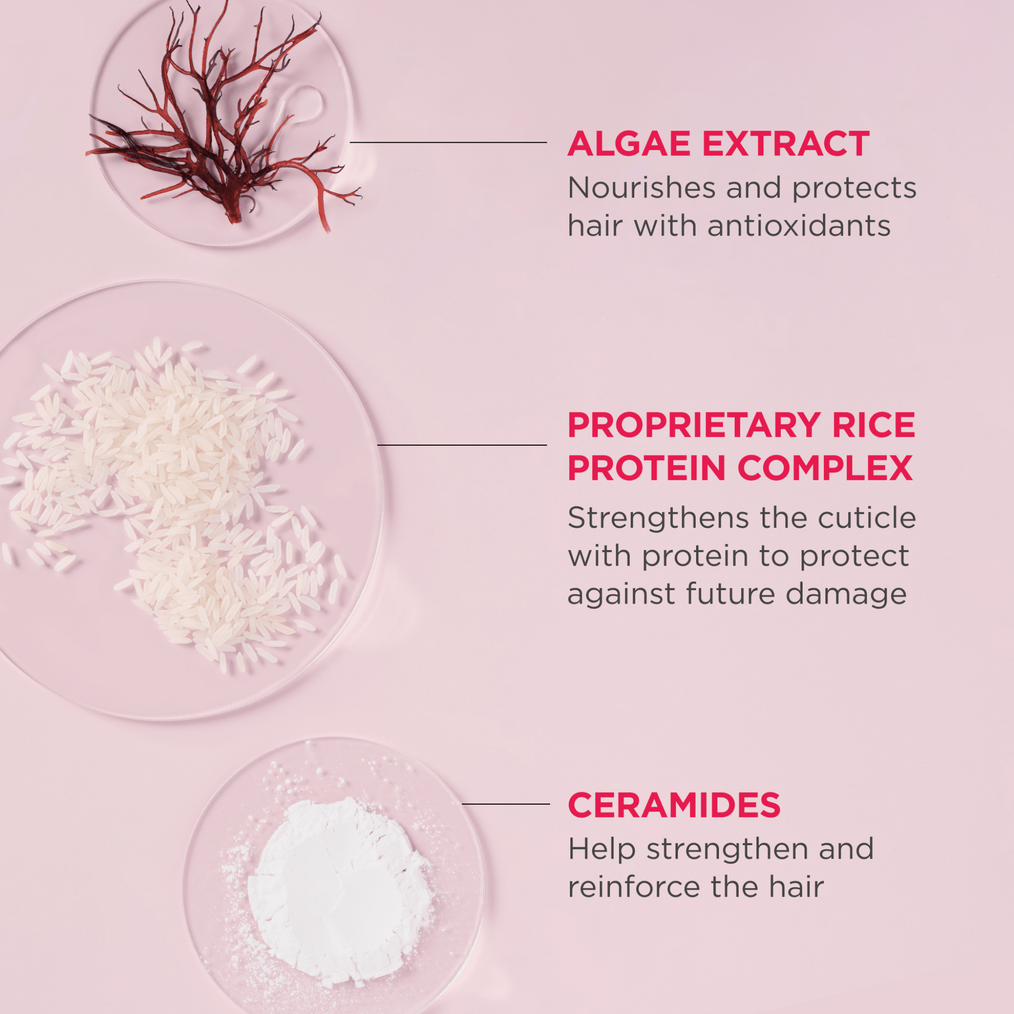 Briogeo. Concentré de Shampoing au Riz Don't Despair, Repair - 90 ml - Concept C. Shop