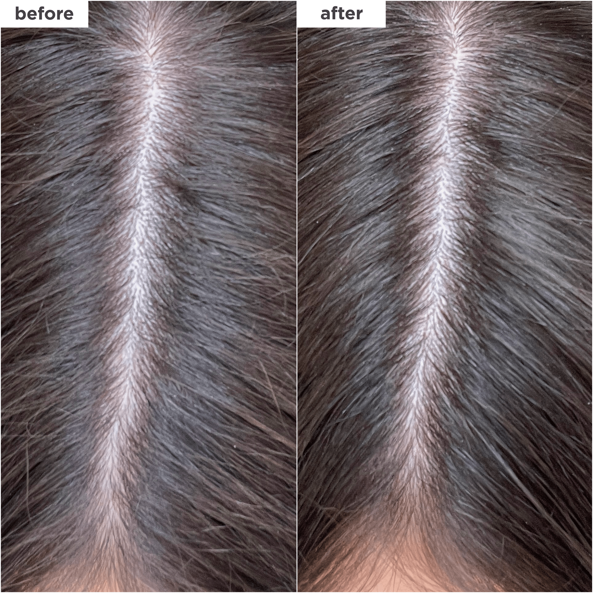 Briogeo. Shampoing Sec Charbon et Biotine Scalp Revival - 50 g - Concept C. Shop