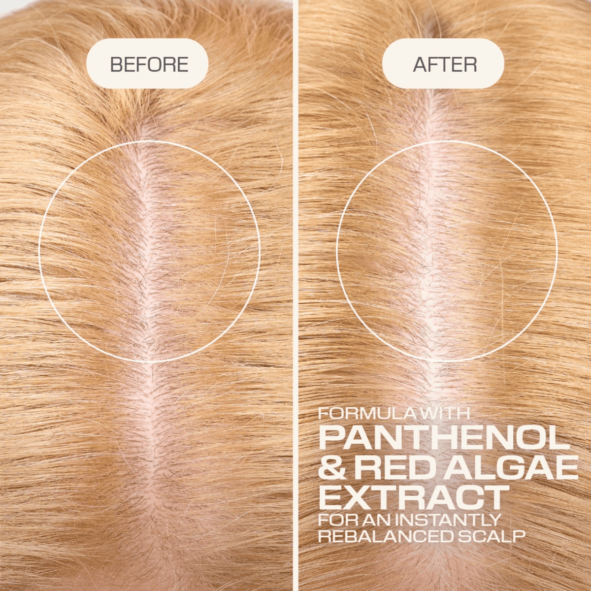 Goldwell. Fluide Équilibre Et Hydratation Cuir Cheveu Scalp Specialist - 150 ml - Concept C. Shop