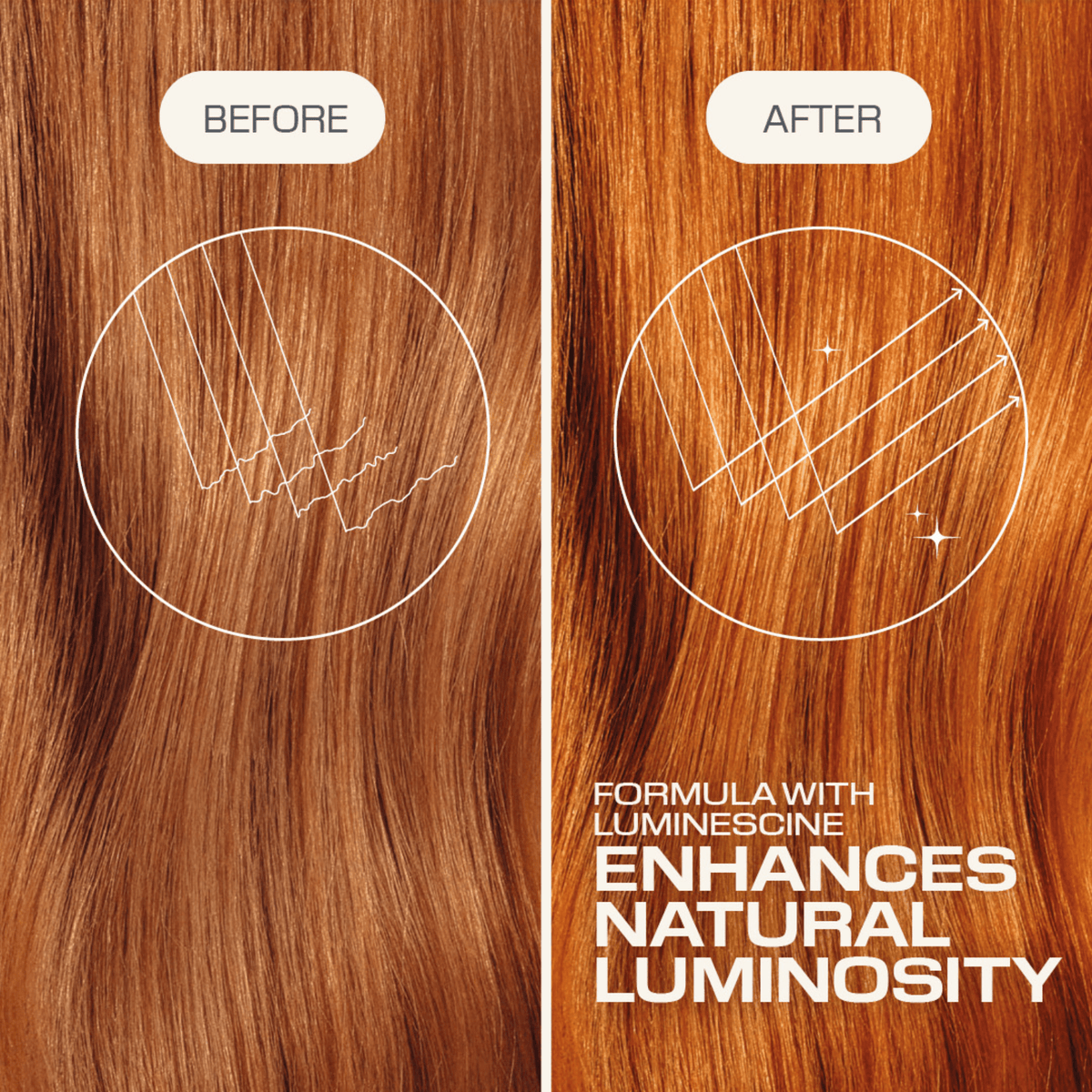 Goldwell. Revitalisant Brillance Color Extra Rich - 300 ml - Concept C. Shop