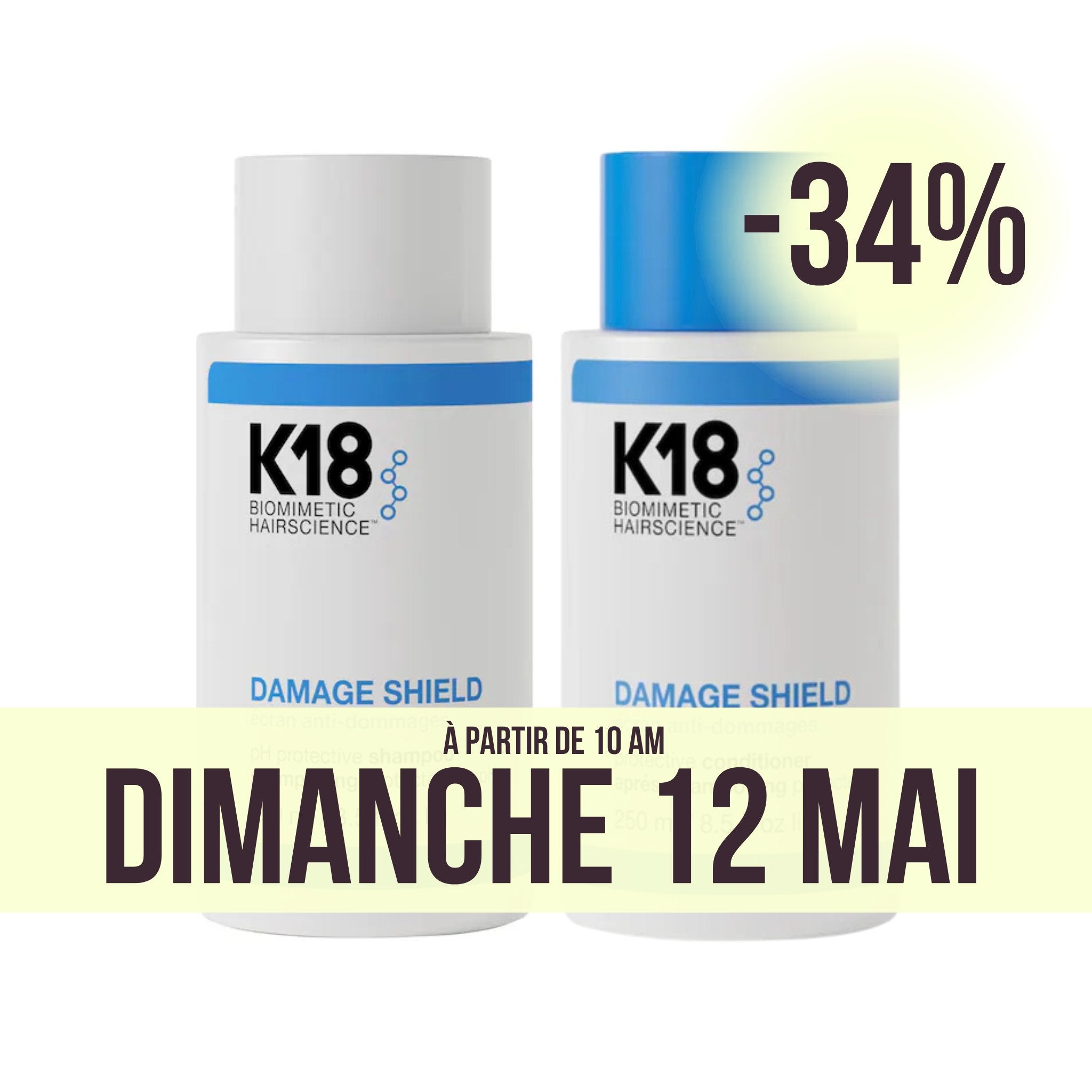 K18. Duo Damage Shield - Concept C. Shop