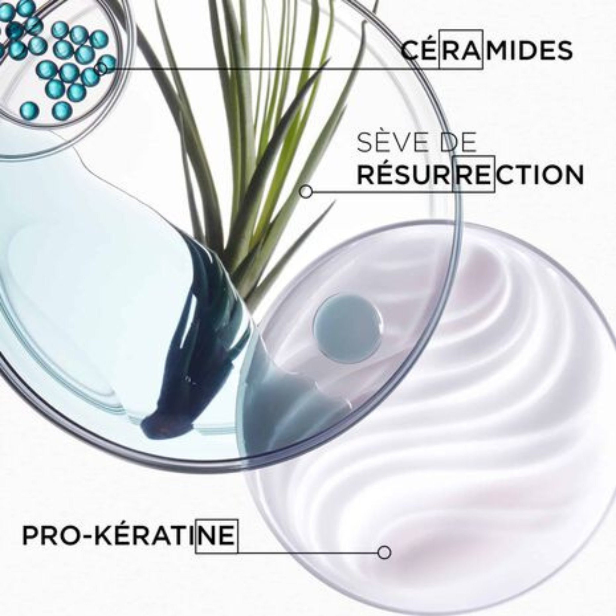 Kérastase. Resistance Lait Reconstructeur Ciment Thermique - 150 ml - Concept C. Shop