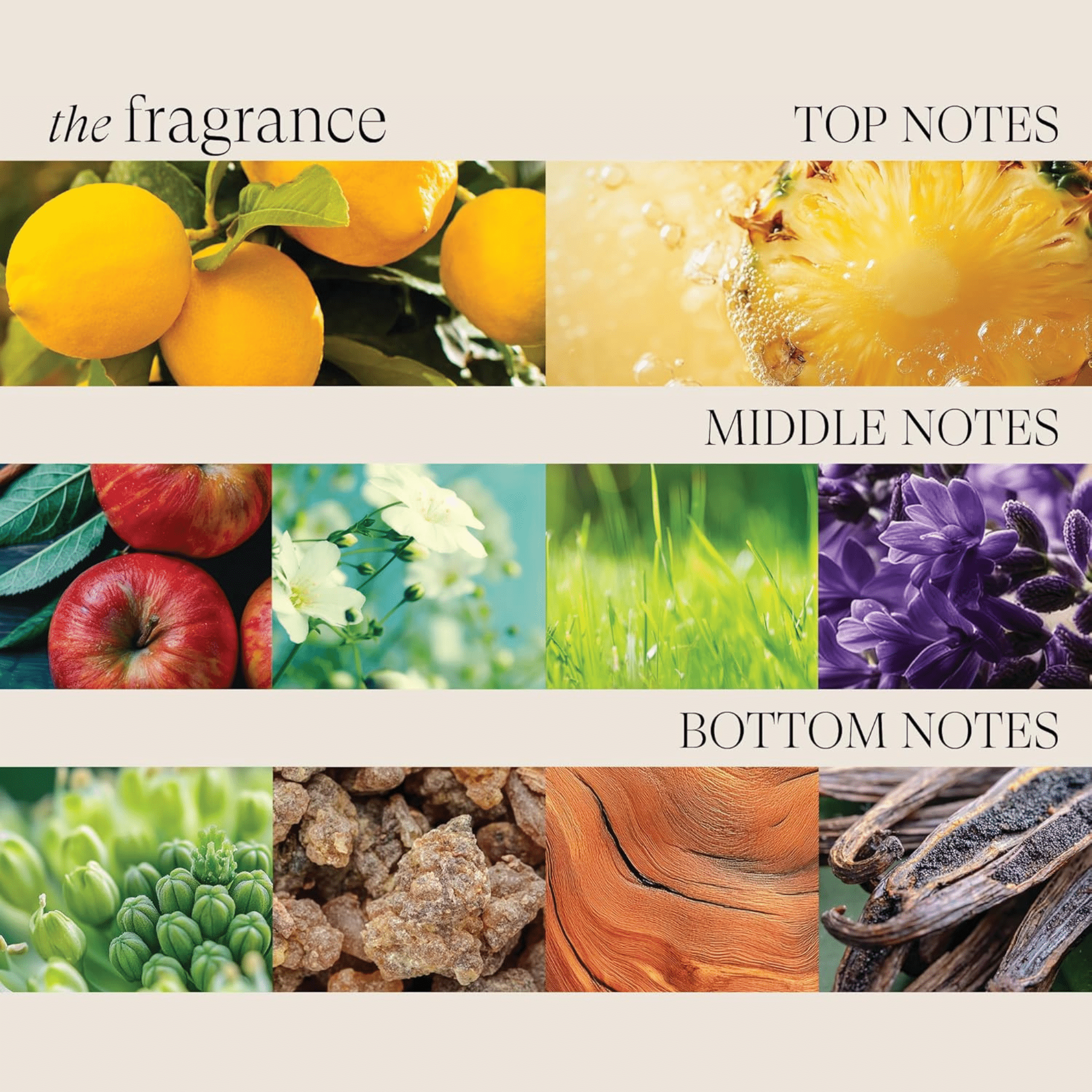 L'Anza. Healing Color Care Shampoing Clarifiant Complexe Vibrance Hibiscus - 300 ml - Concept C. Shop