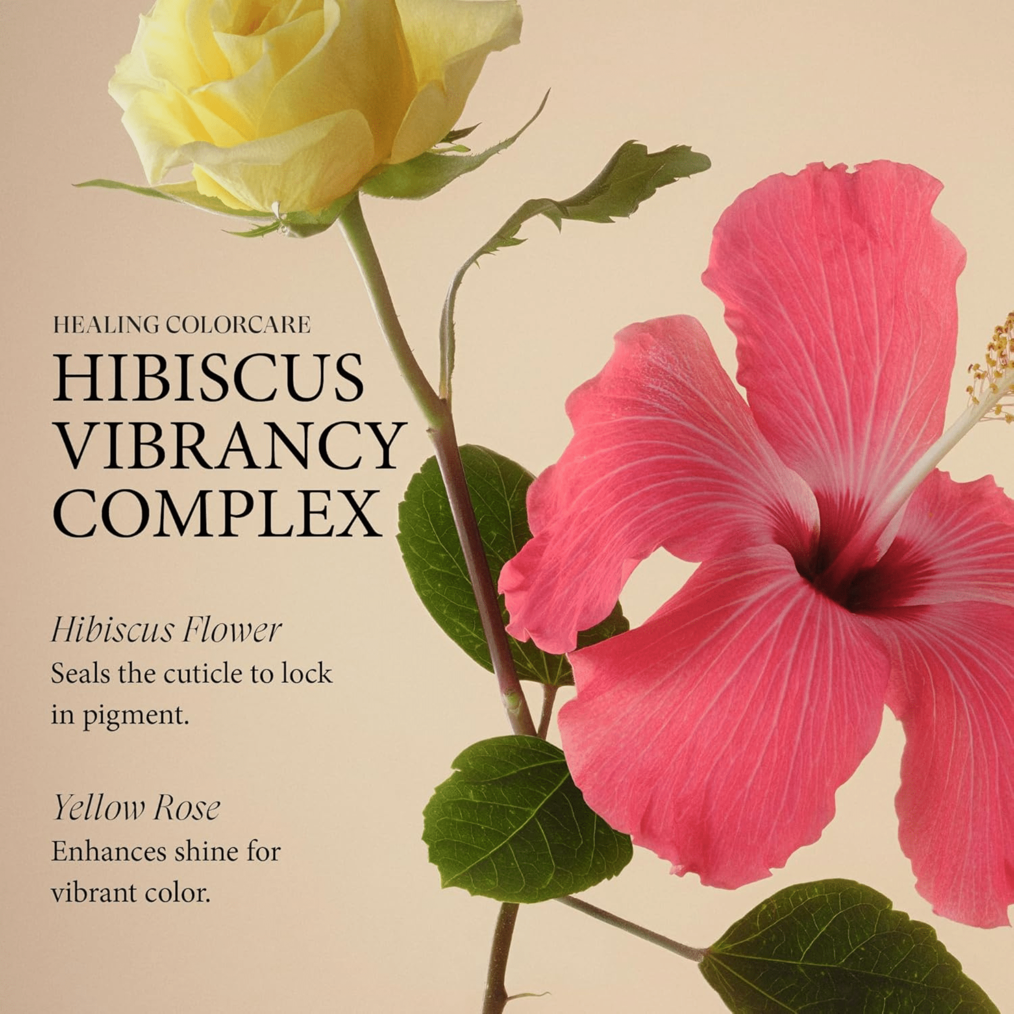 L'Anza. Healing Color Care Shampoing Clarifiant Complexe Vibrance Hibiscus - 300 ml - Concept C. Shop