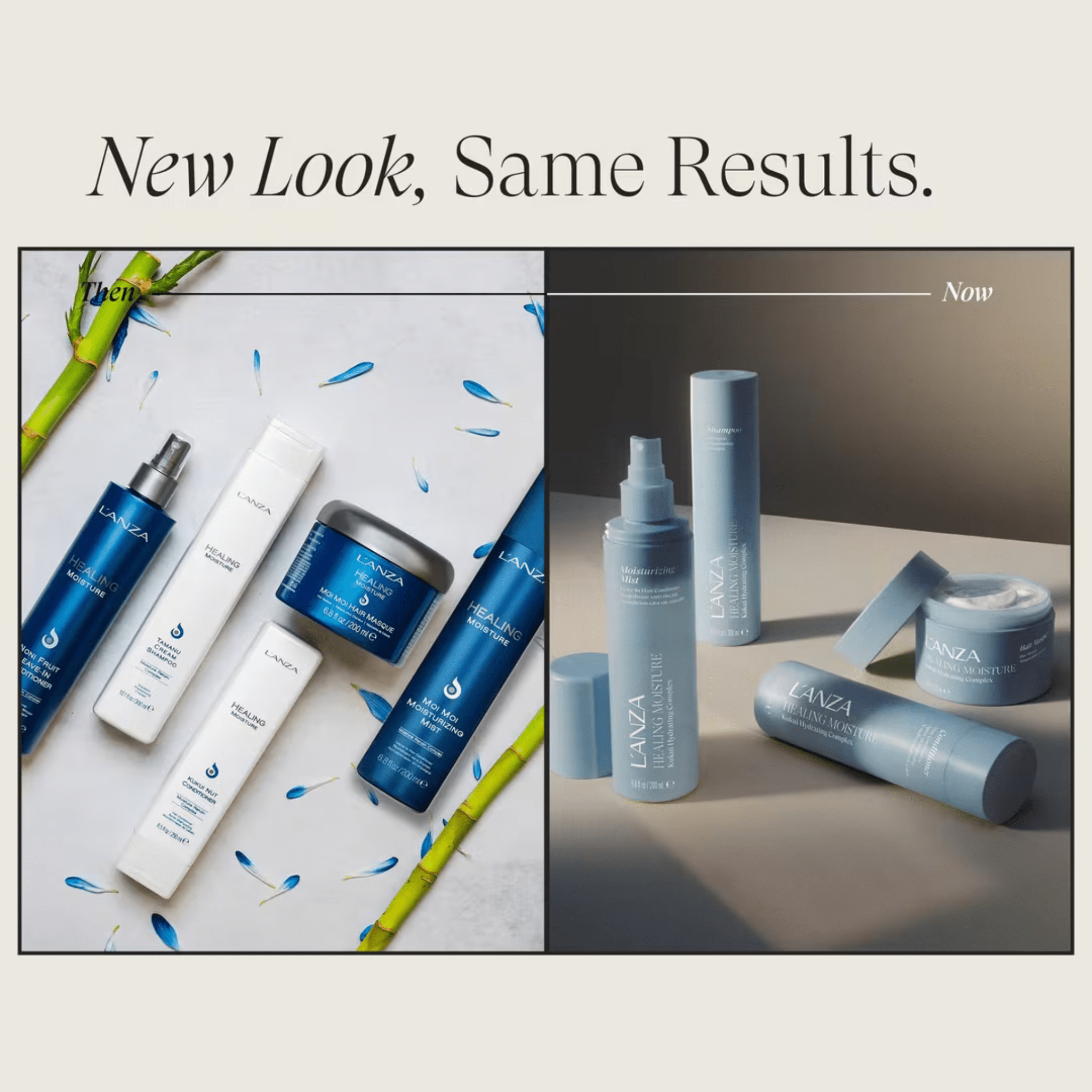 L'Anza. Healing Moisture Masque Hydratant Avec Complexe Hydratant Au Kukui - 200 ml - Concept C. Shop