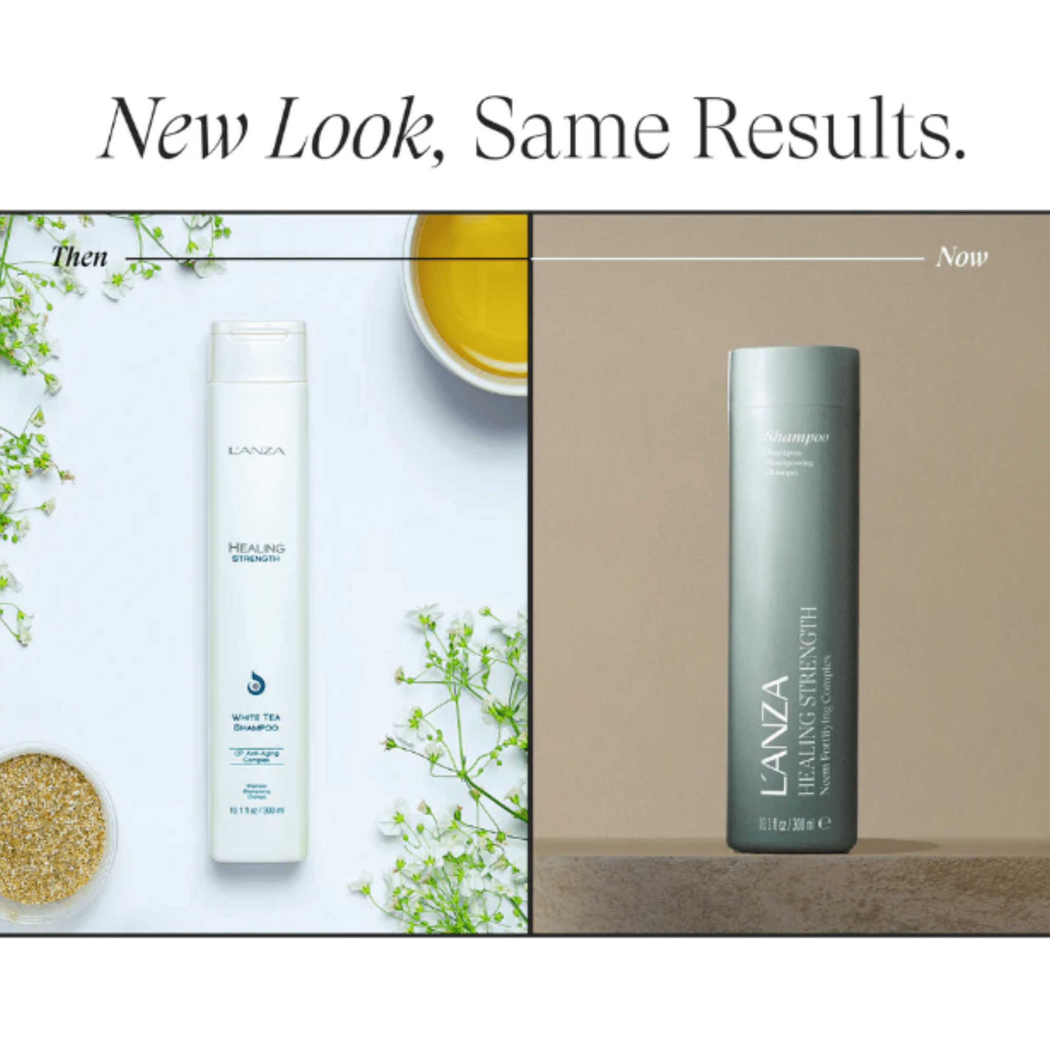 L'Anza. Healing Strength Shampoing Complexe Fortifiant Au Neem - 300 ml - Concept C. Shop