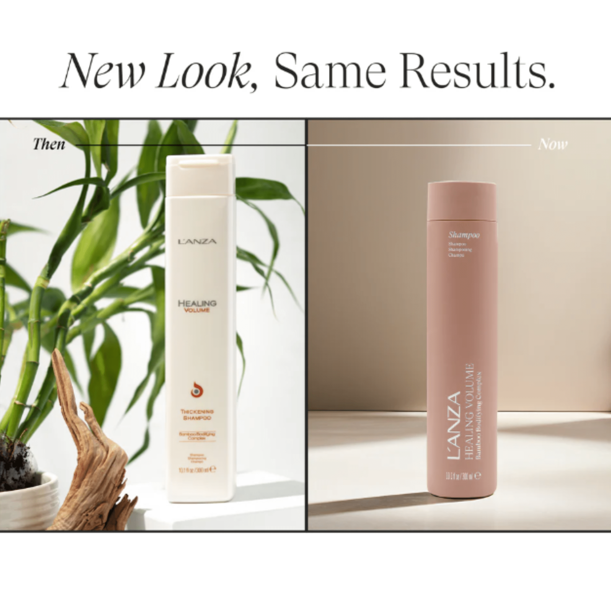 L'Anza. Healing Volume Shampoing Complexe Volumisant Au Bamboo - 300 ml - Concept C. Shop
