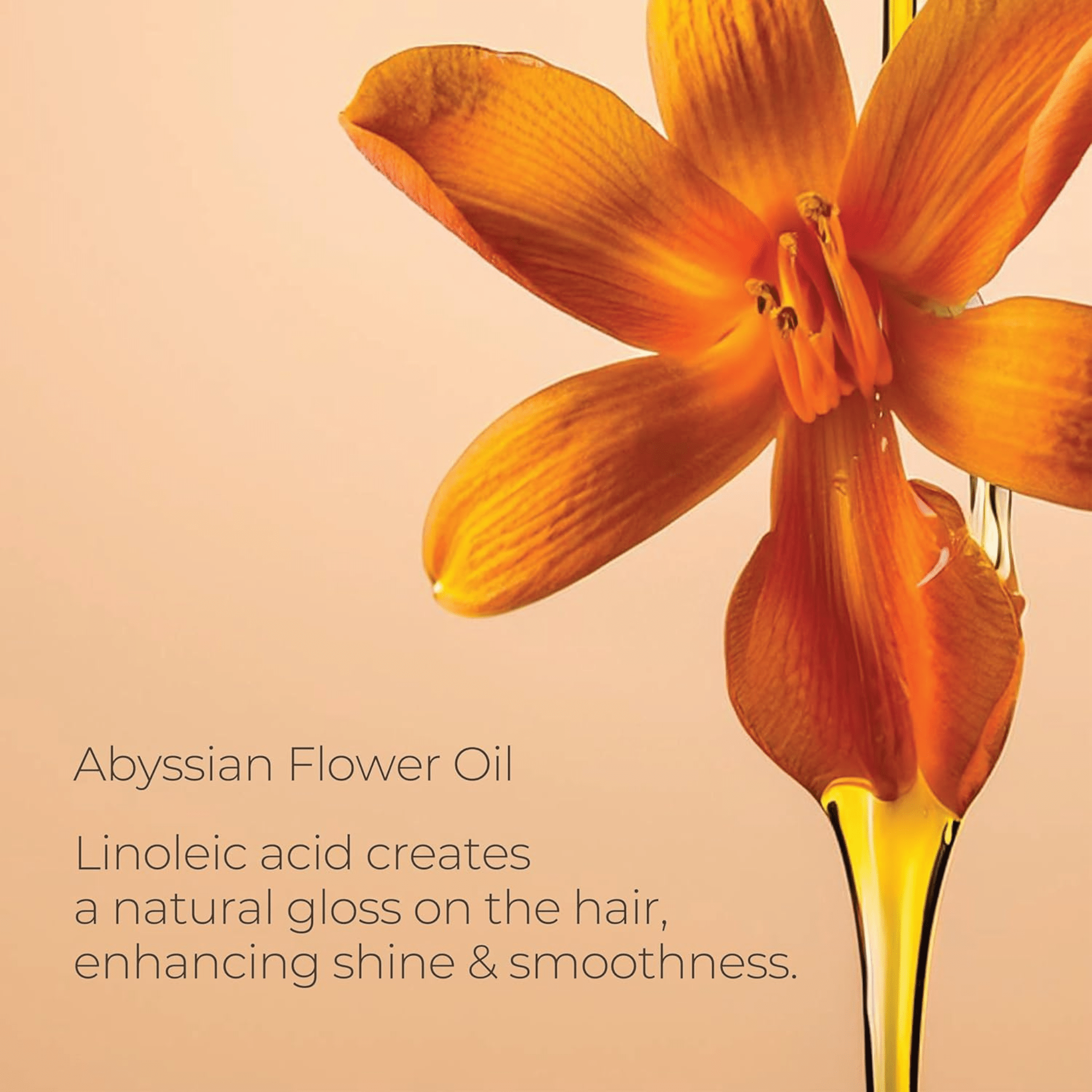 L'Anza. Shampoing Complexe Réparateur Phyto - IV Keratin Healing Oil - 950 ml - Concept C. Shop